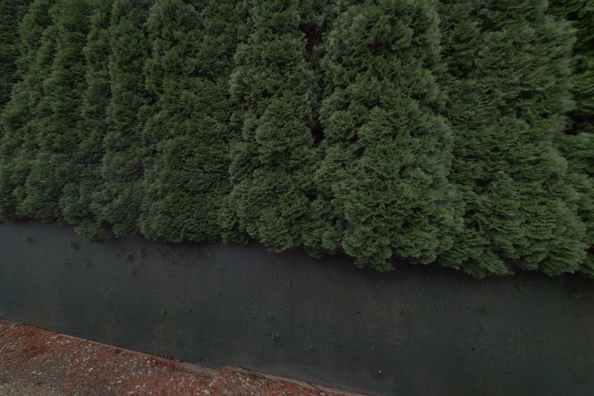 TRIVIUM TRADE s.r.o.