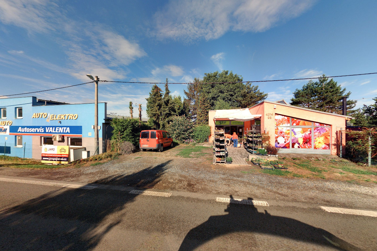 Mimosa květiny s. r. o. foto 6