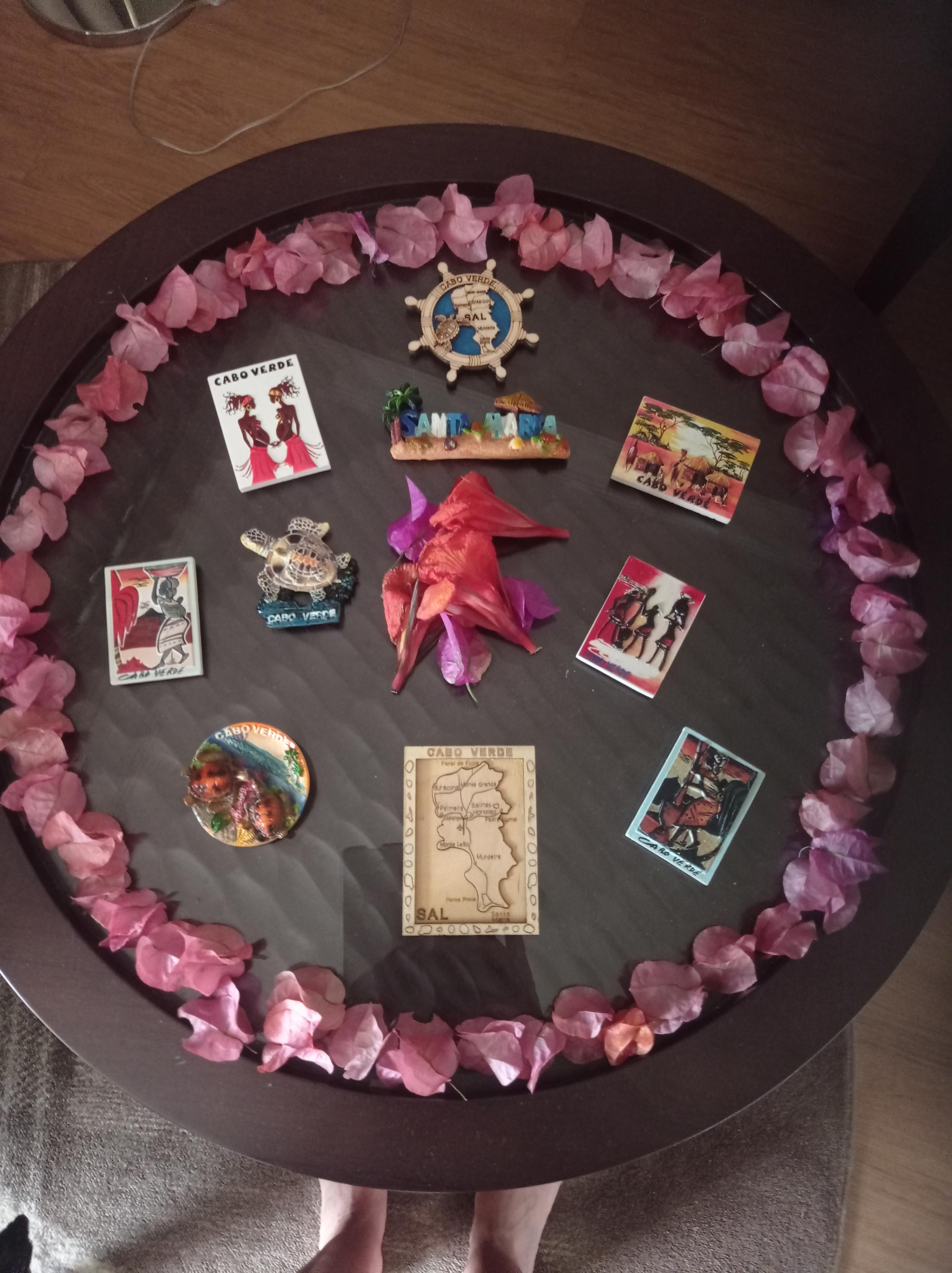 Bc. Ivana Ovčarčinová foto 3