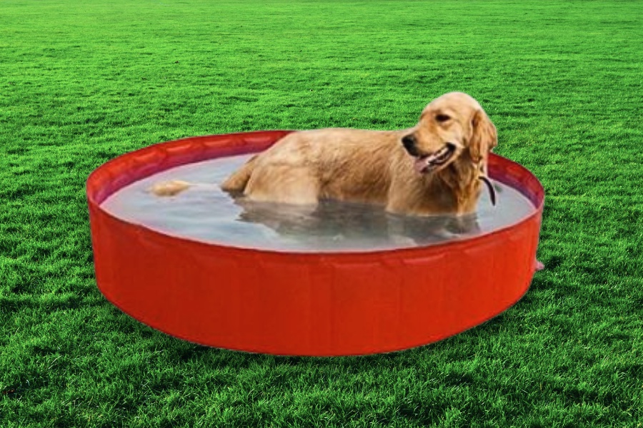 Bazény pro domácí mazlíčky