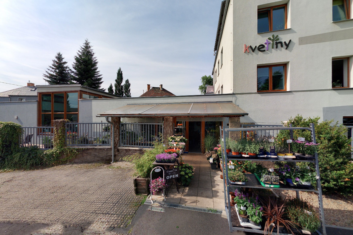 Květiny Pavlina Jelínková