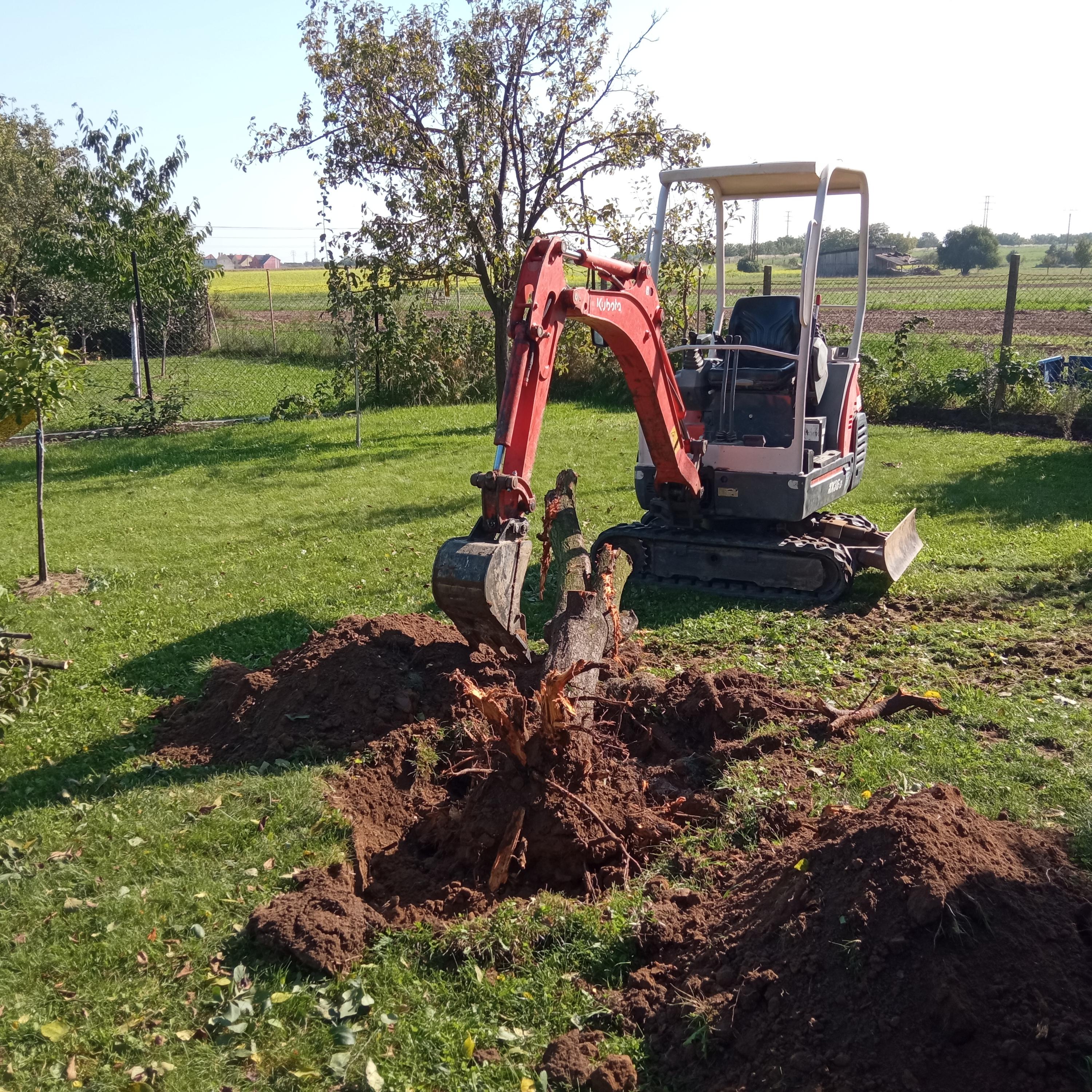 Tomáš Svoboda - zemní a výkopové práce minibagrem foto 6