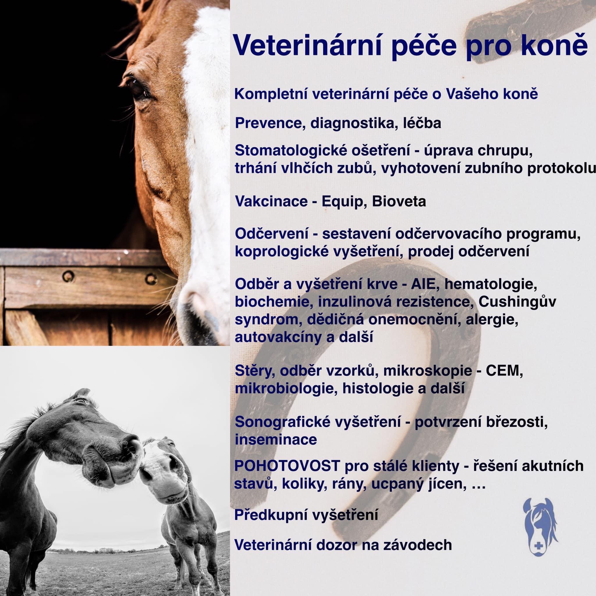 MVDr. Lucie Končitíková - Veterinární lékař foto 3