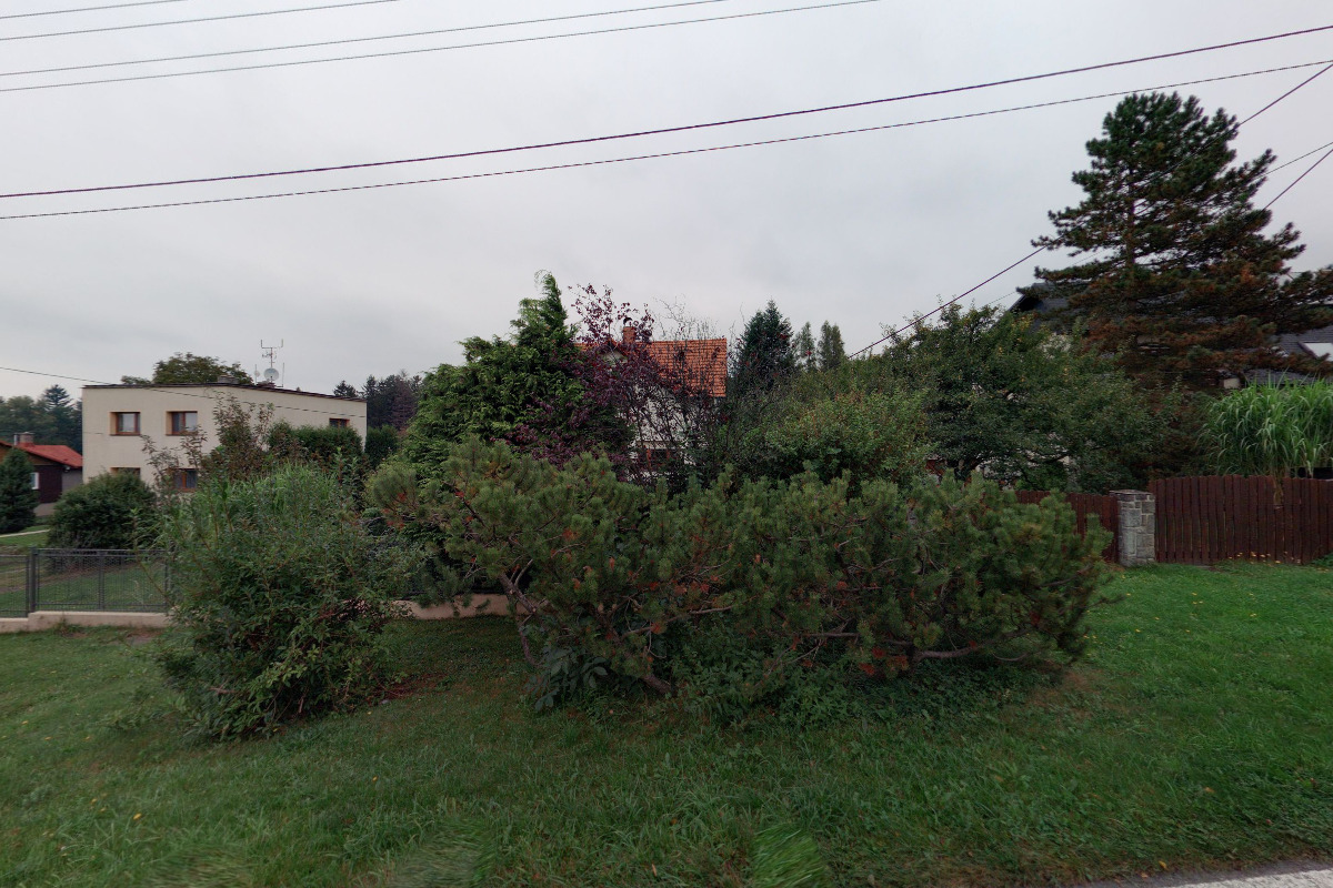 Grafika Romana Kubešová