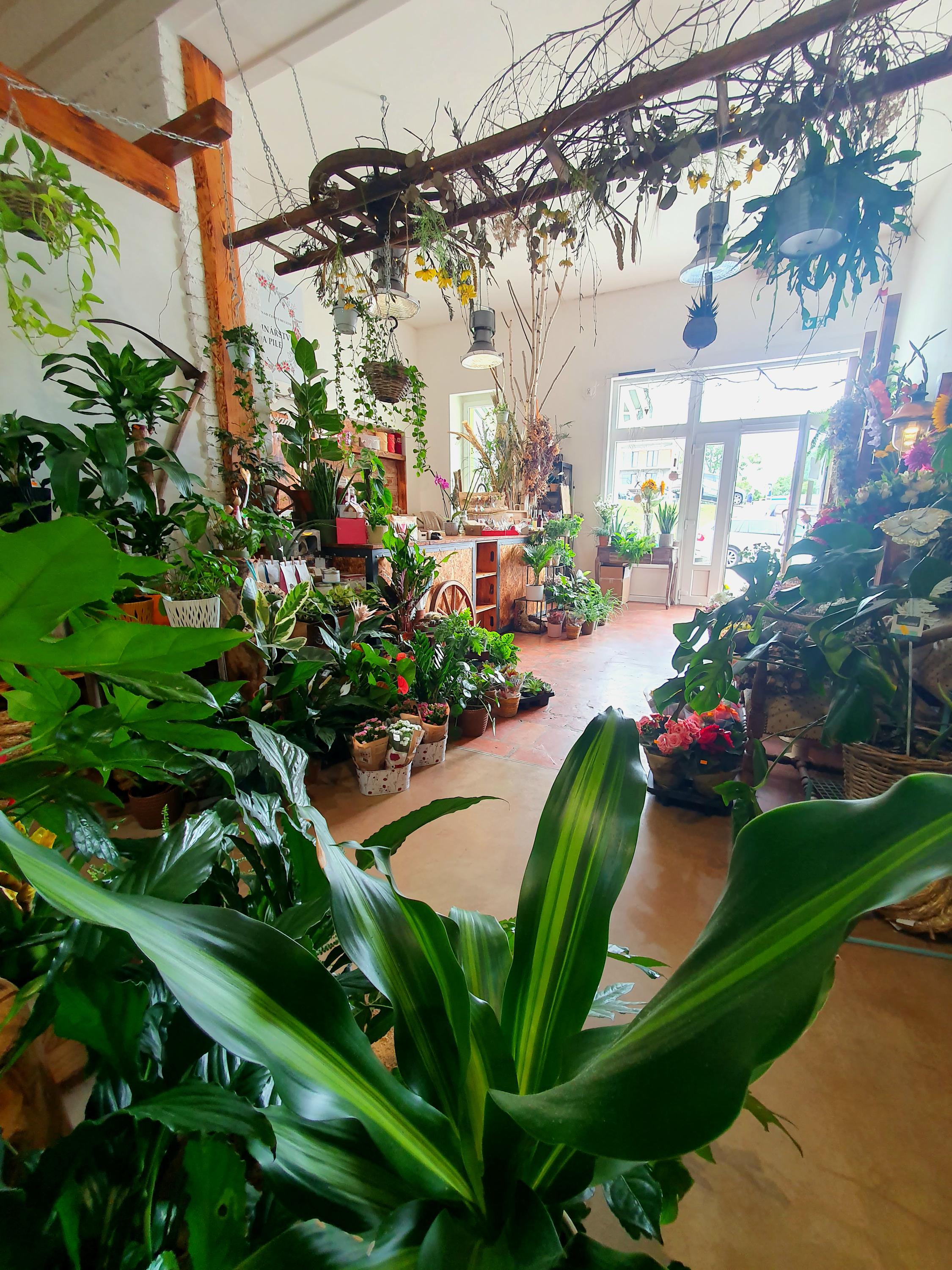 Květinářství Na pile foto 2