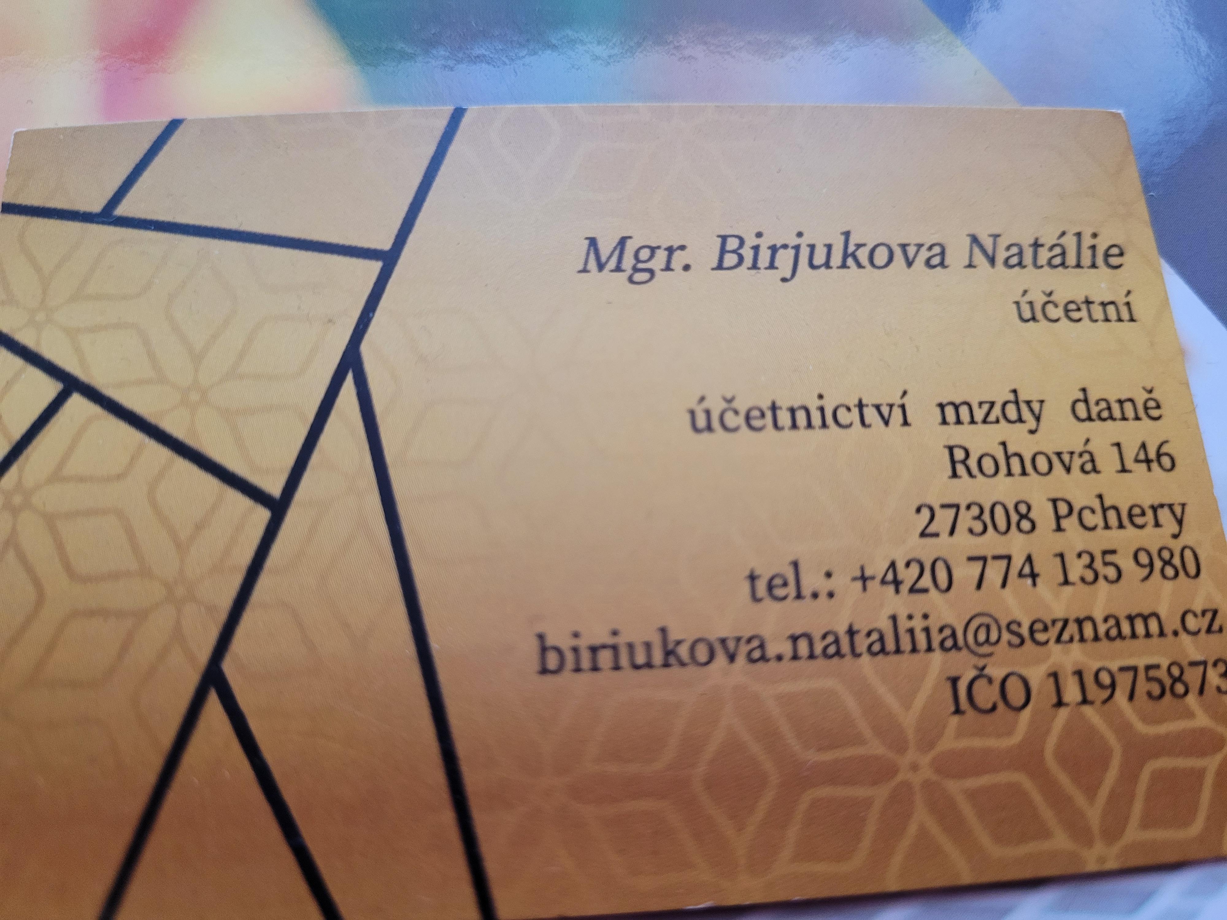 Účetní služby Natálie Birjukova foto 2