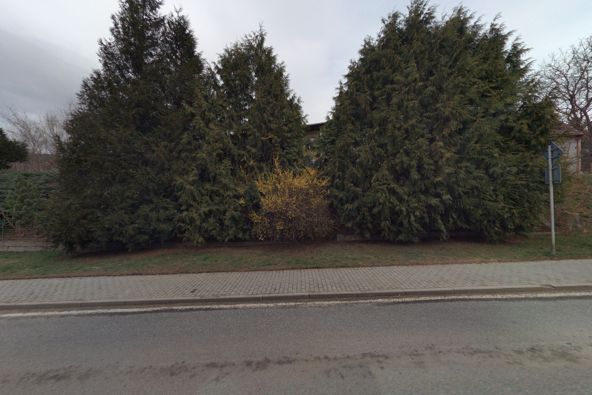 Hokejovékarty09.cz foto 2