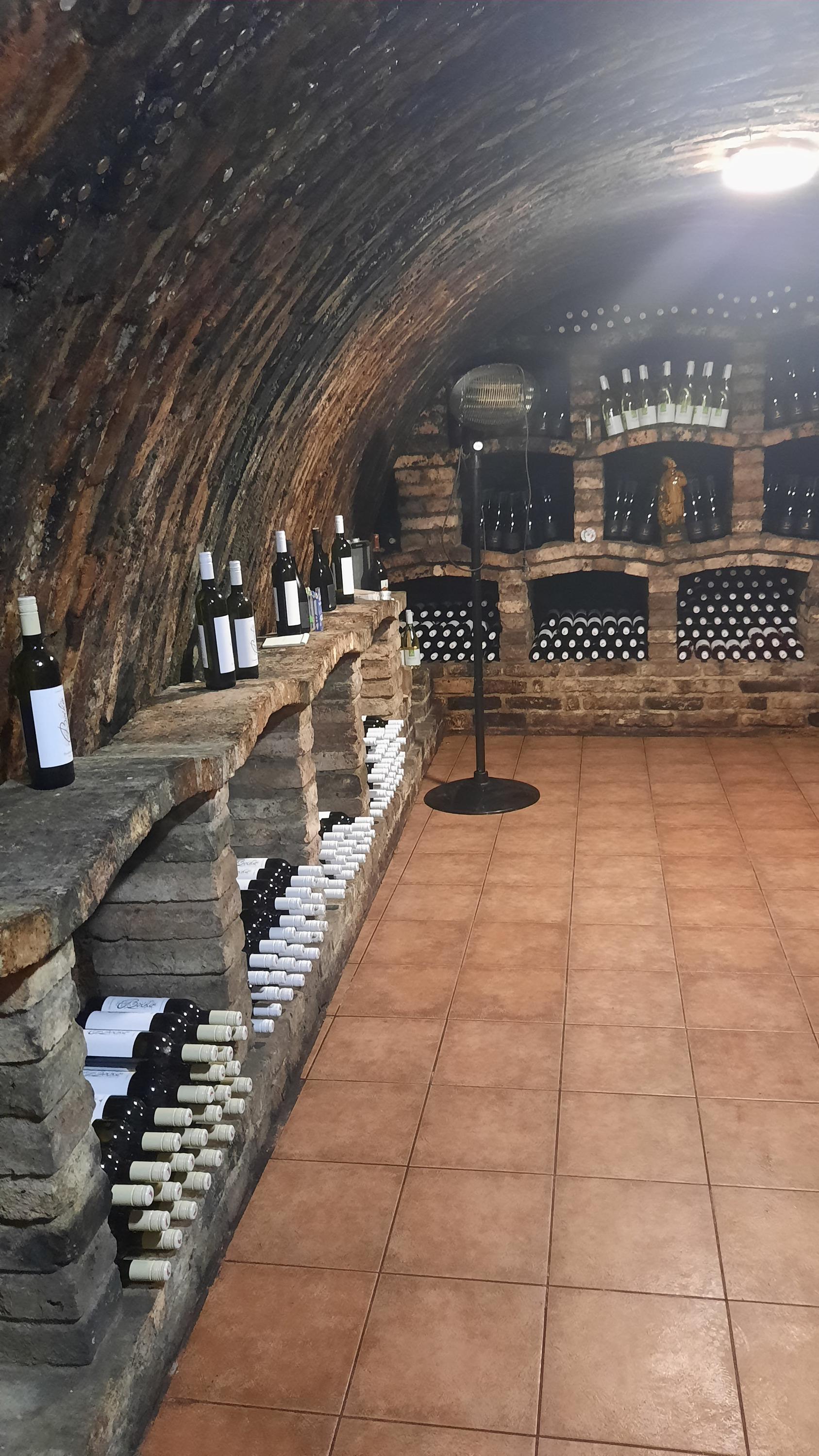 Vinařství Bočko - vinný sklep foto 5