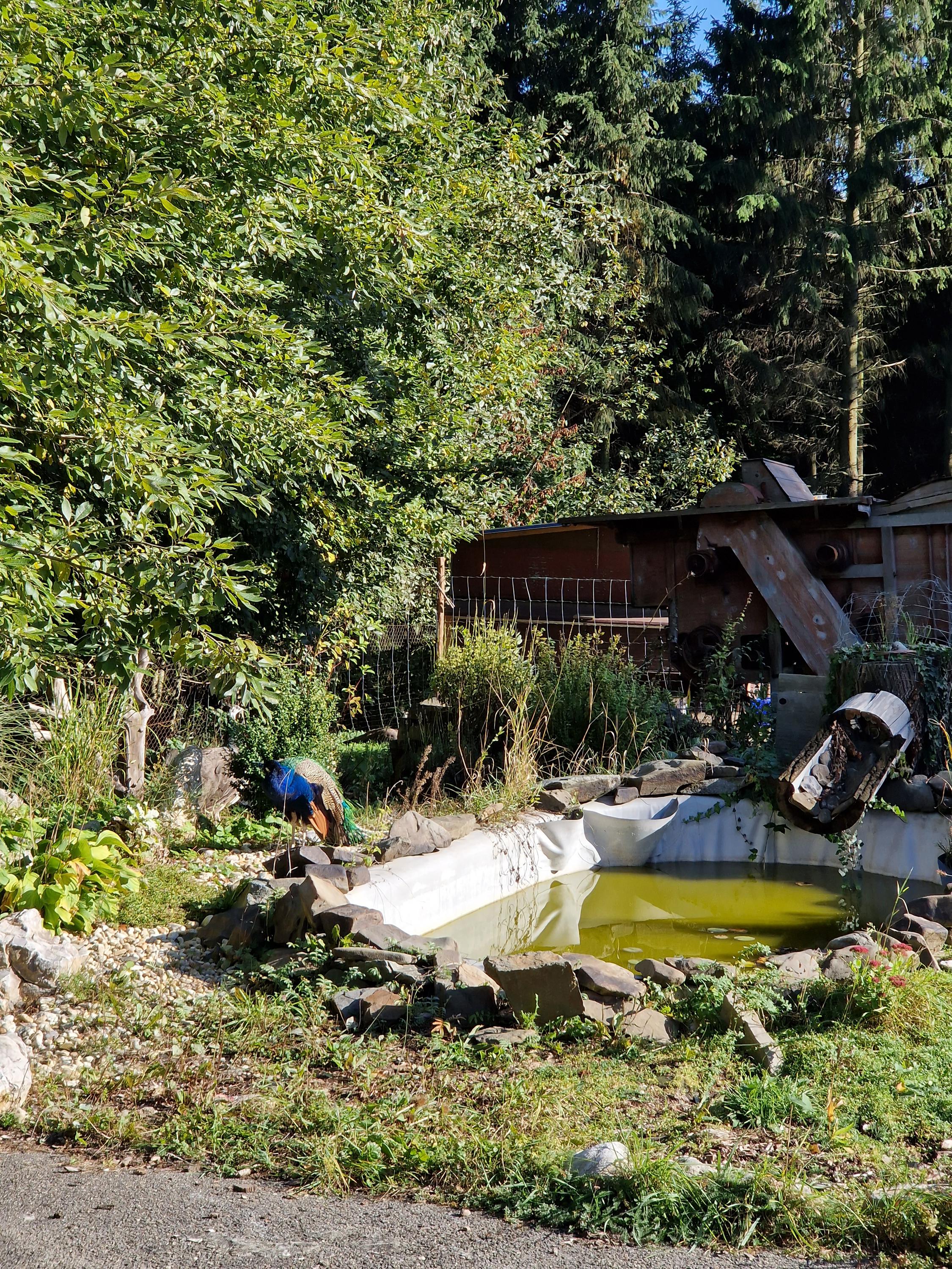 Hospůdka na kasárnách foto 6