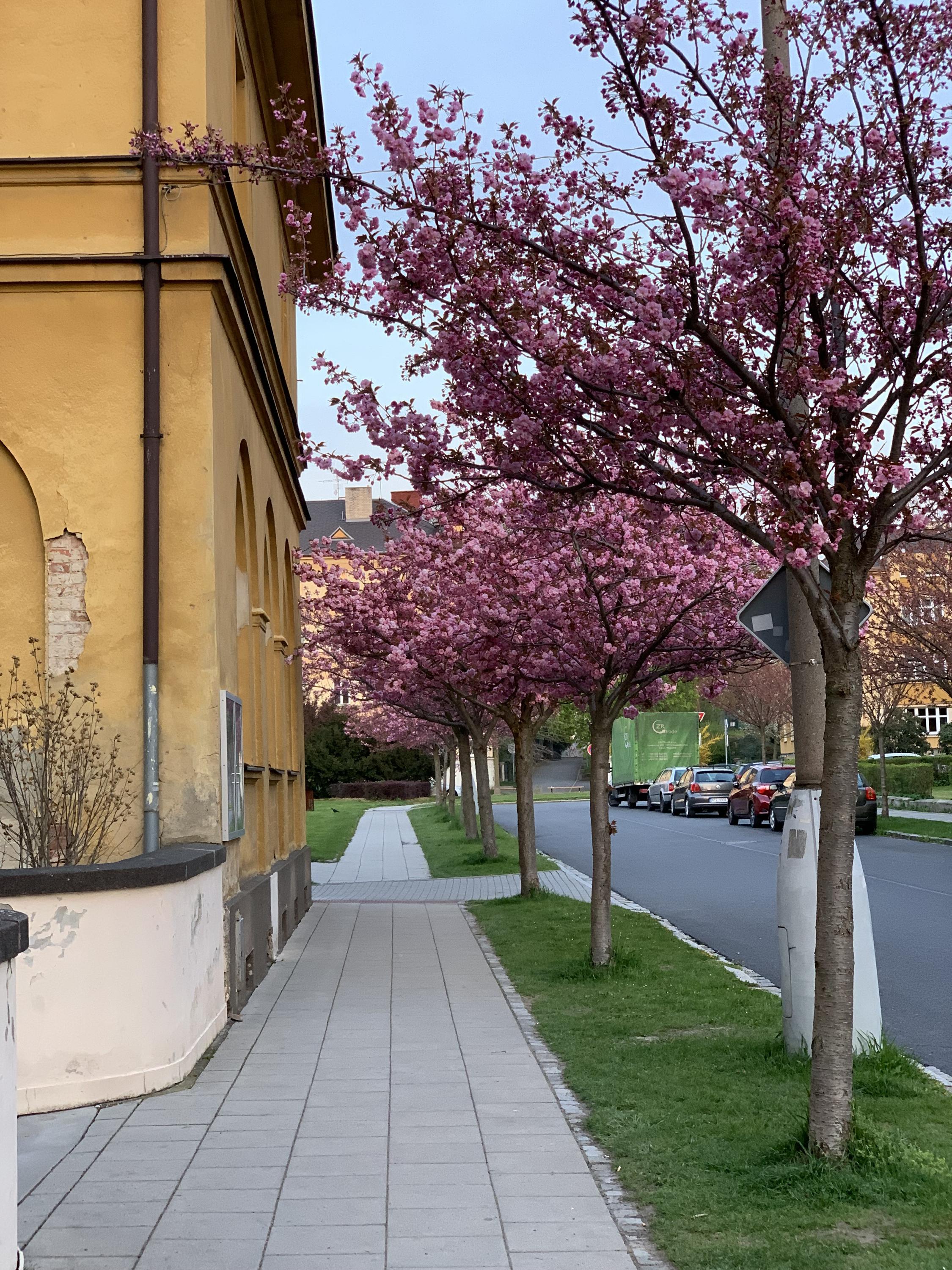 ZŠ T. G. Masaryka Opava foto 3