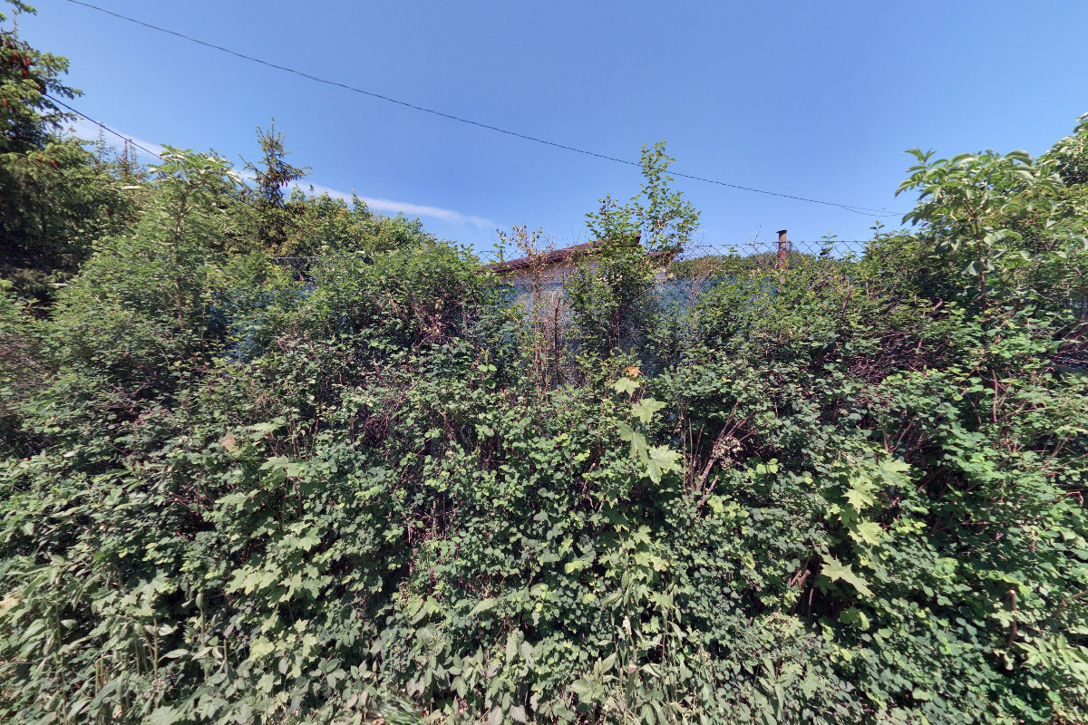 Adiktologie v preventivní a léčebné praxi