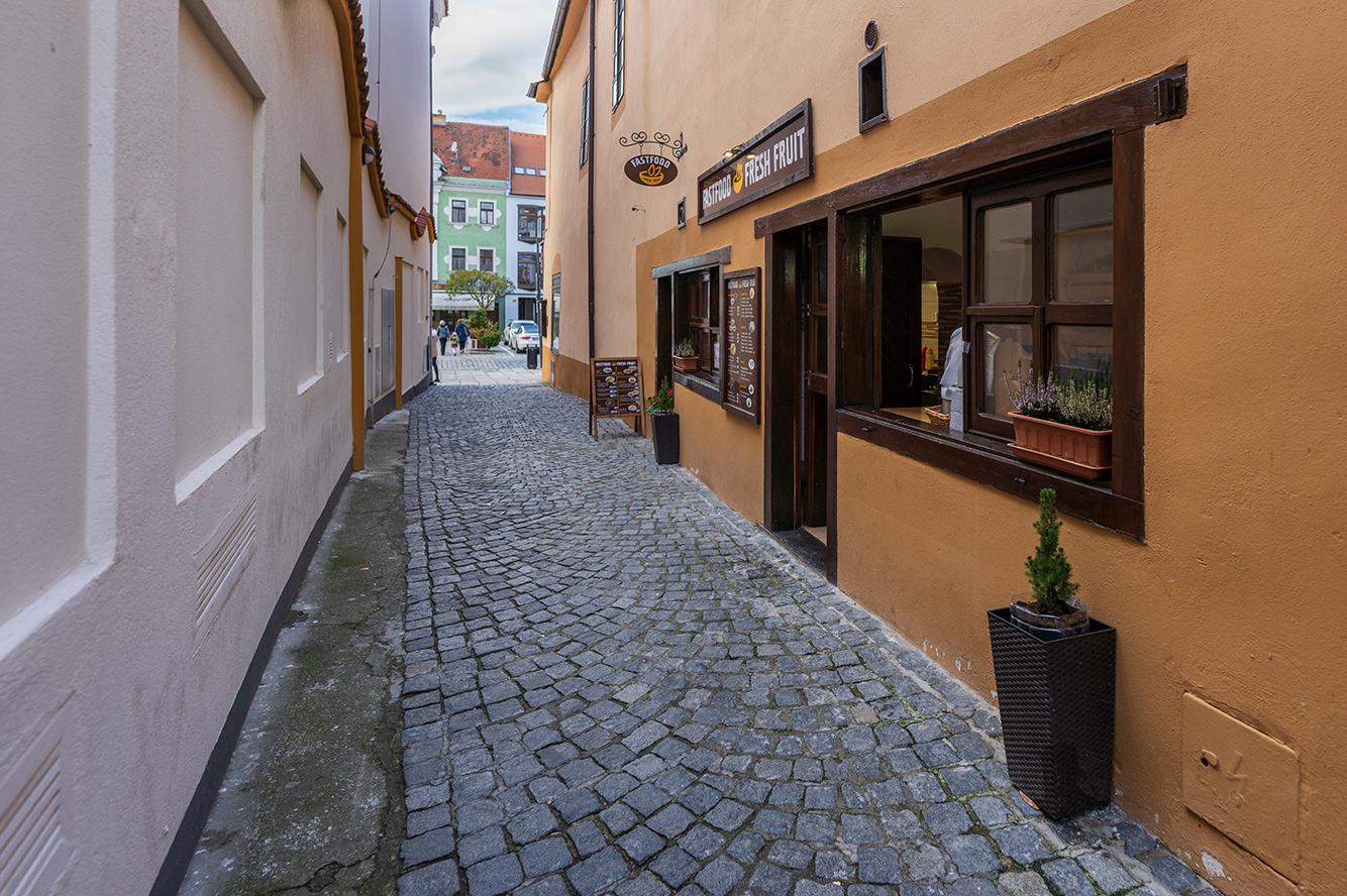 Fast Food Fresh Fruit