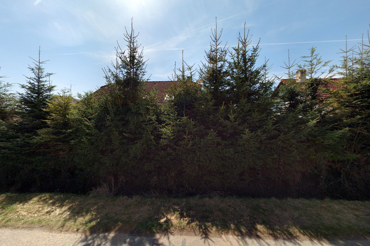 Co by kamenem foto 6