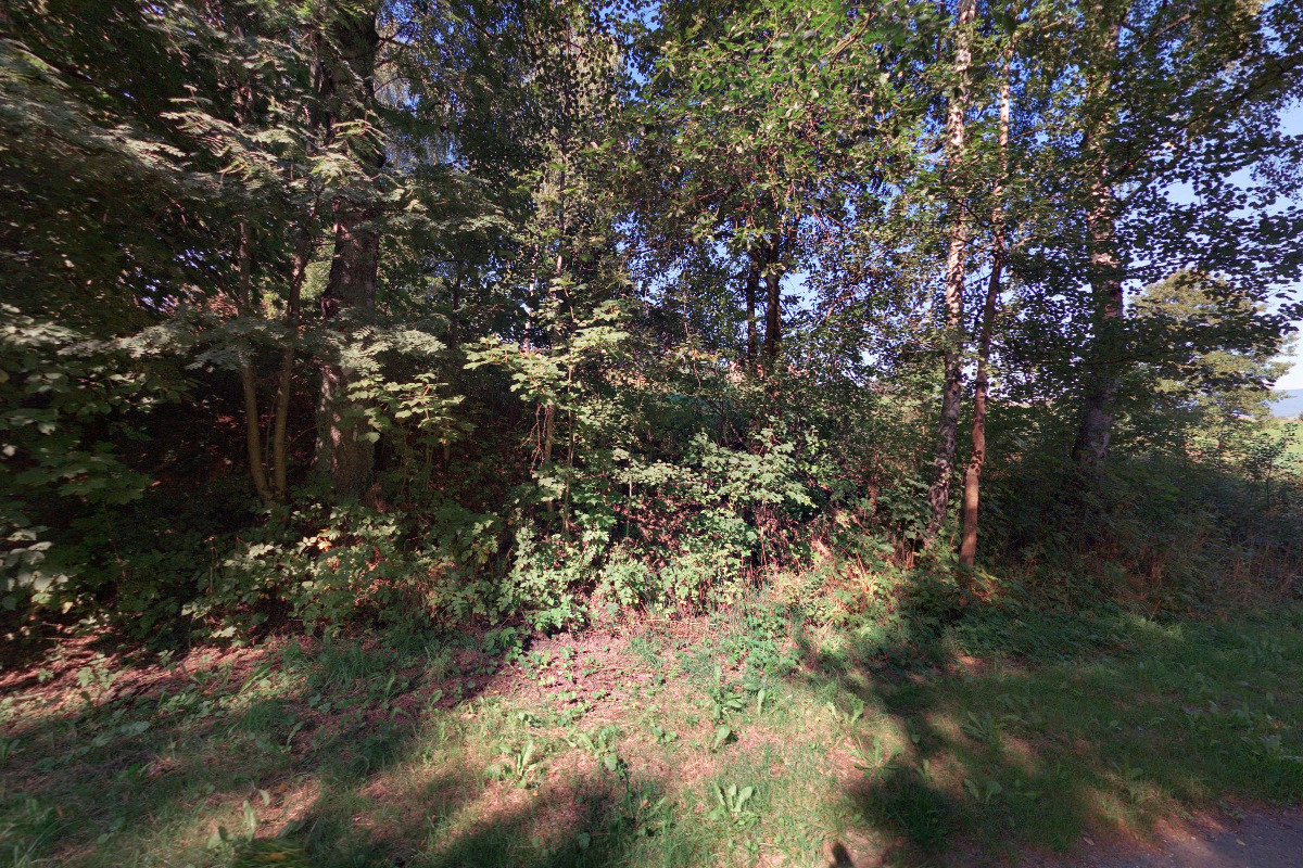 Chalupa Zlaťák foto 1