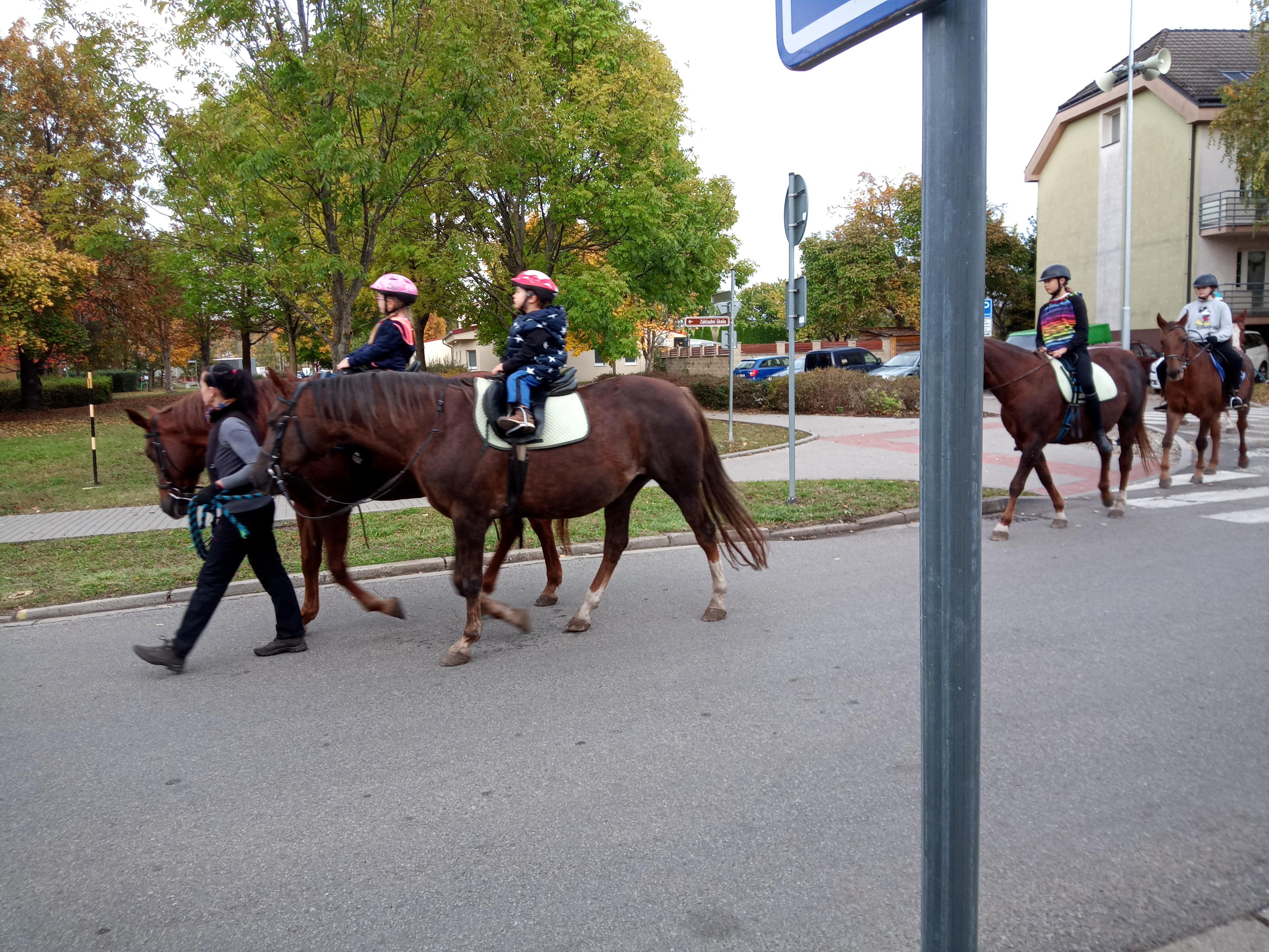 Stáj Mezi vinohrady foto 4