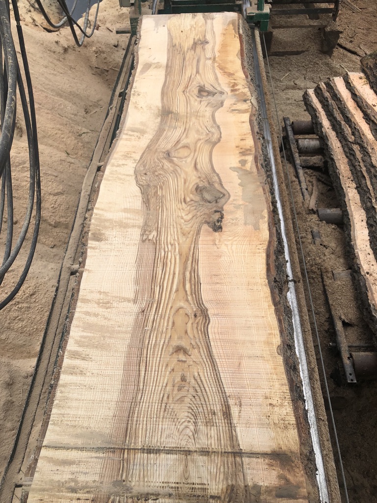 Pila Velký Bor foto 4