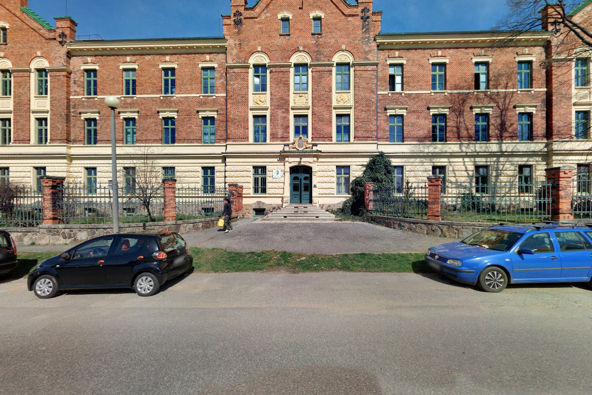 Český teplokrevník