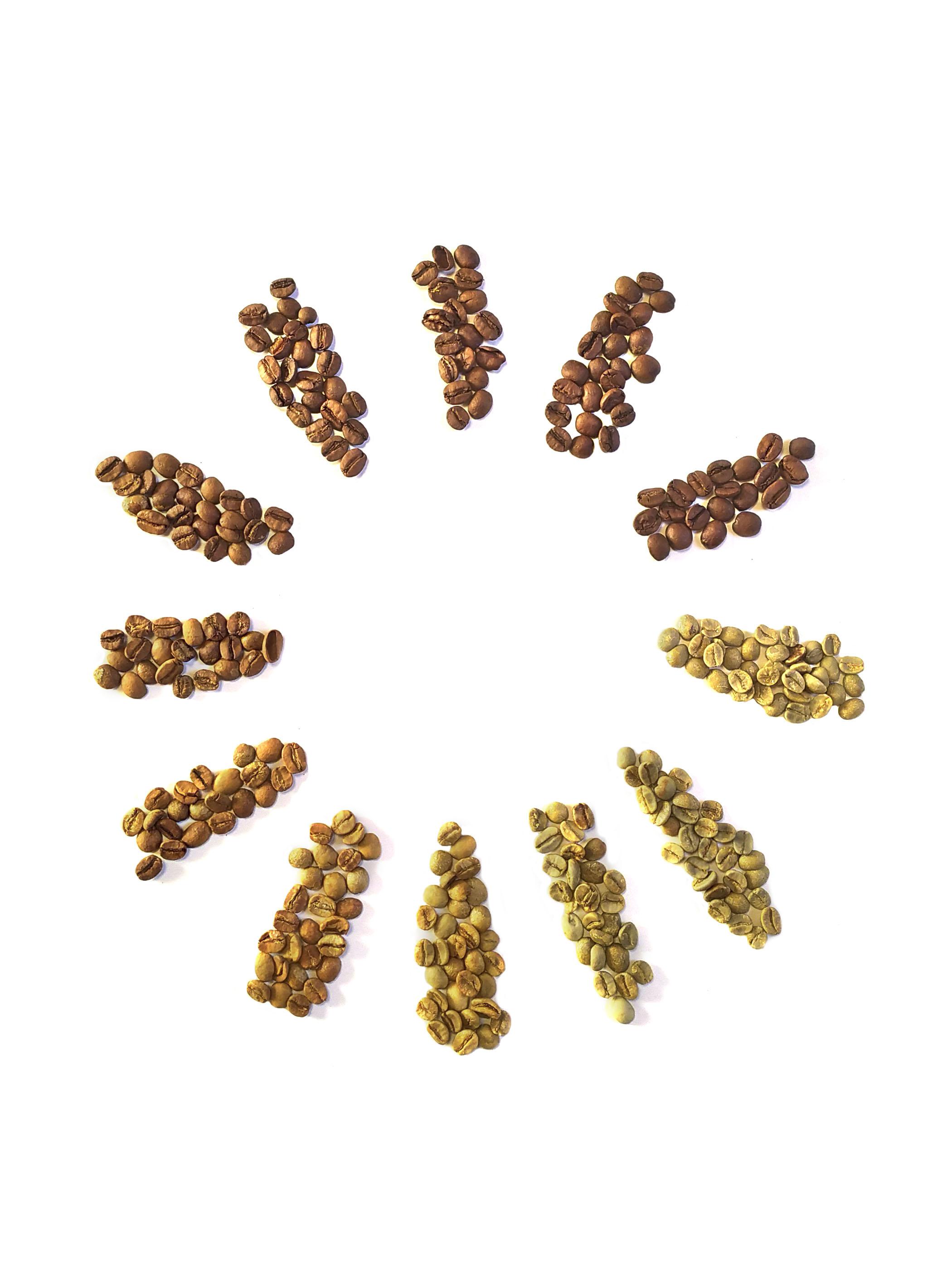 BARTCOFFEE.cz - Pražírna foto 3