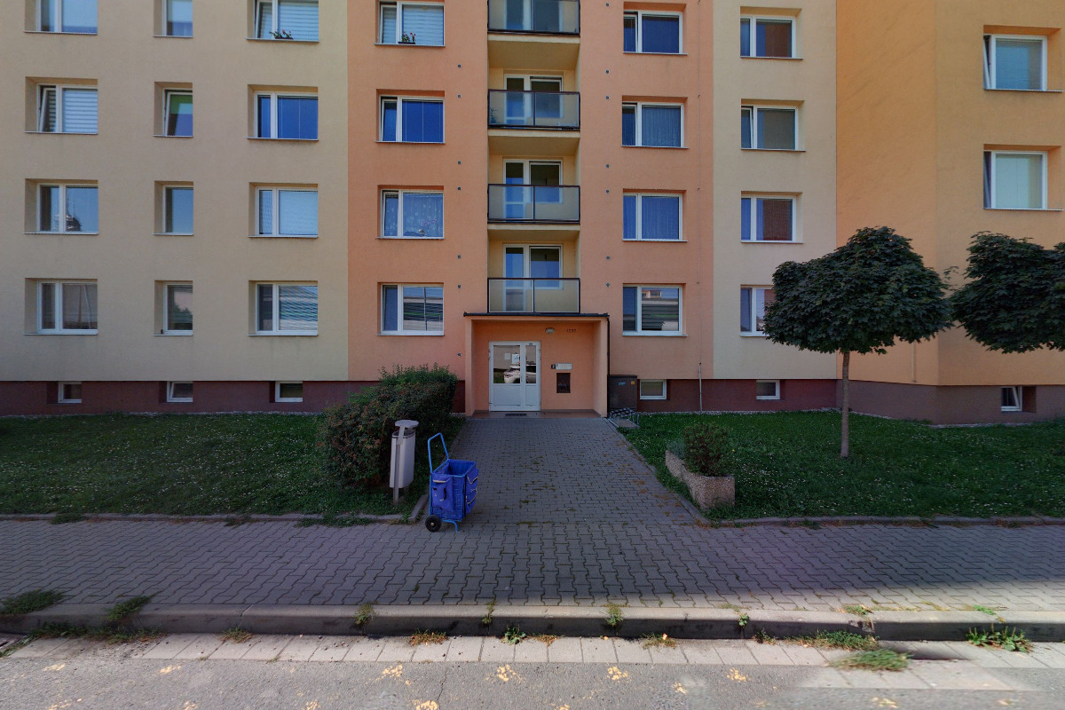 Irena Silvie Trnková