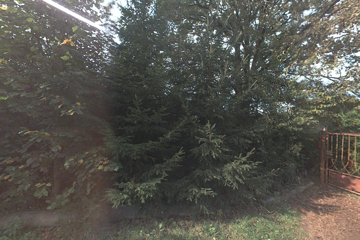 Půjčovna lodí Samba, s.r.o. foto 6