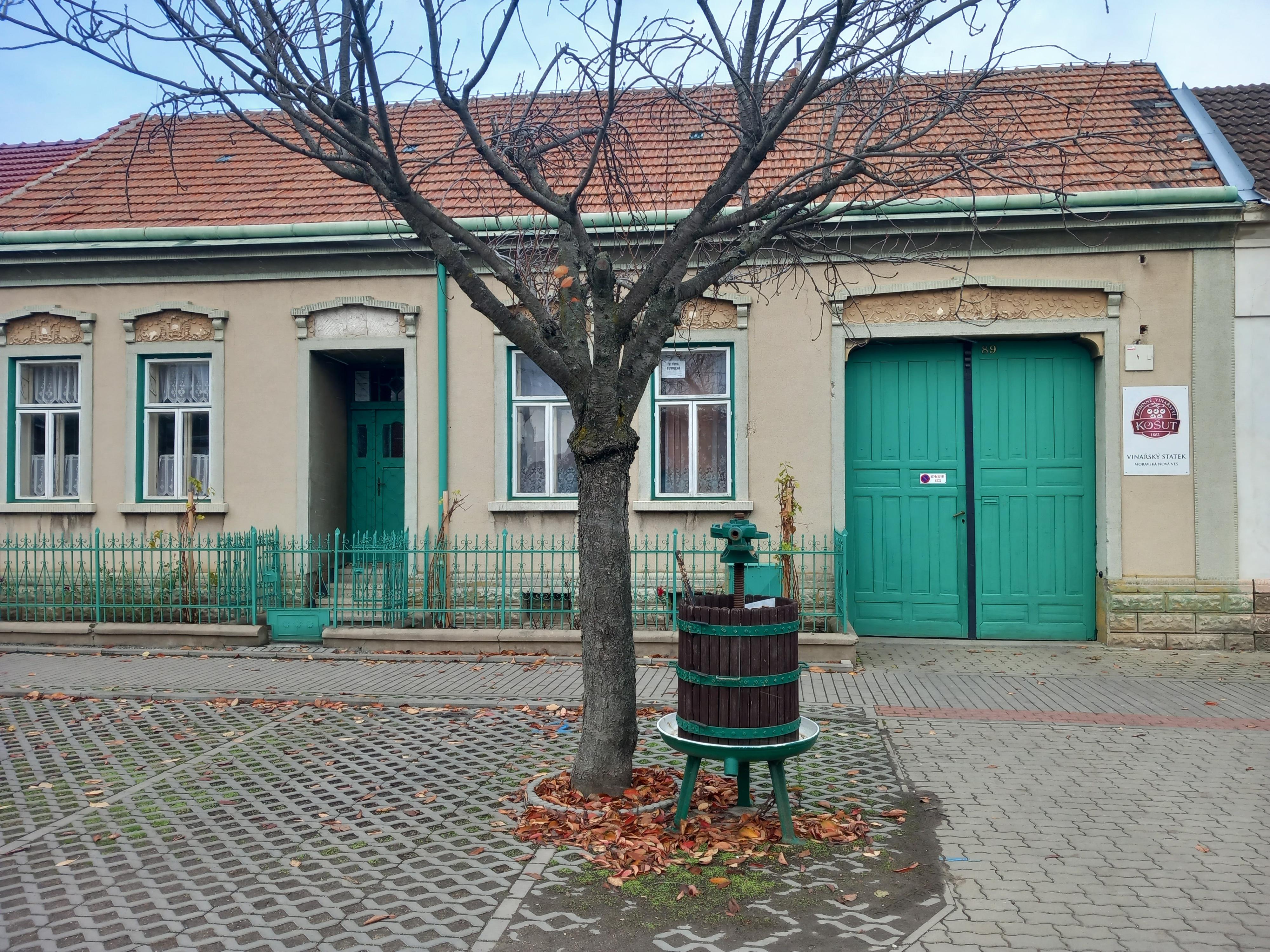 Rodinné vinařství Košut - Vinařský statek foto 4