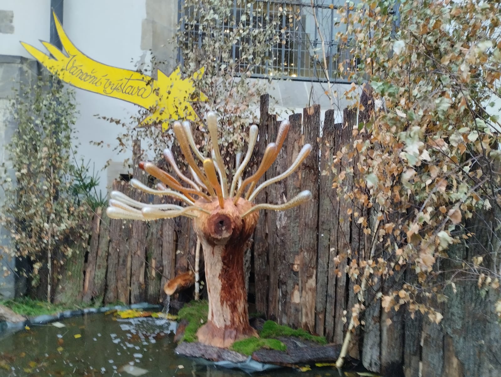 Bonsai servis - Ing. Blahoslav Lukavec foto 2