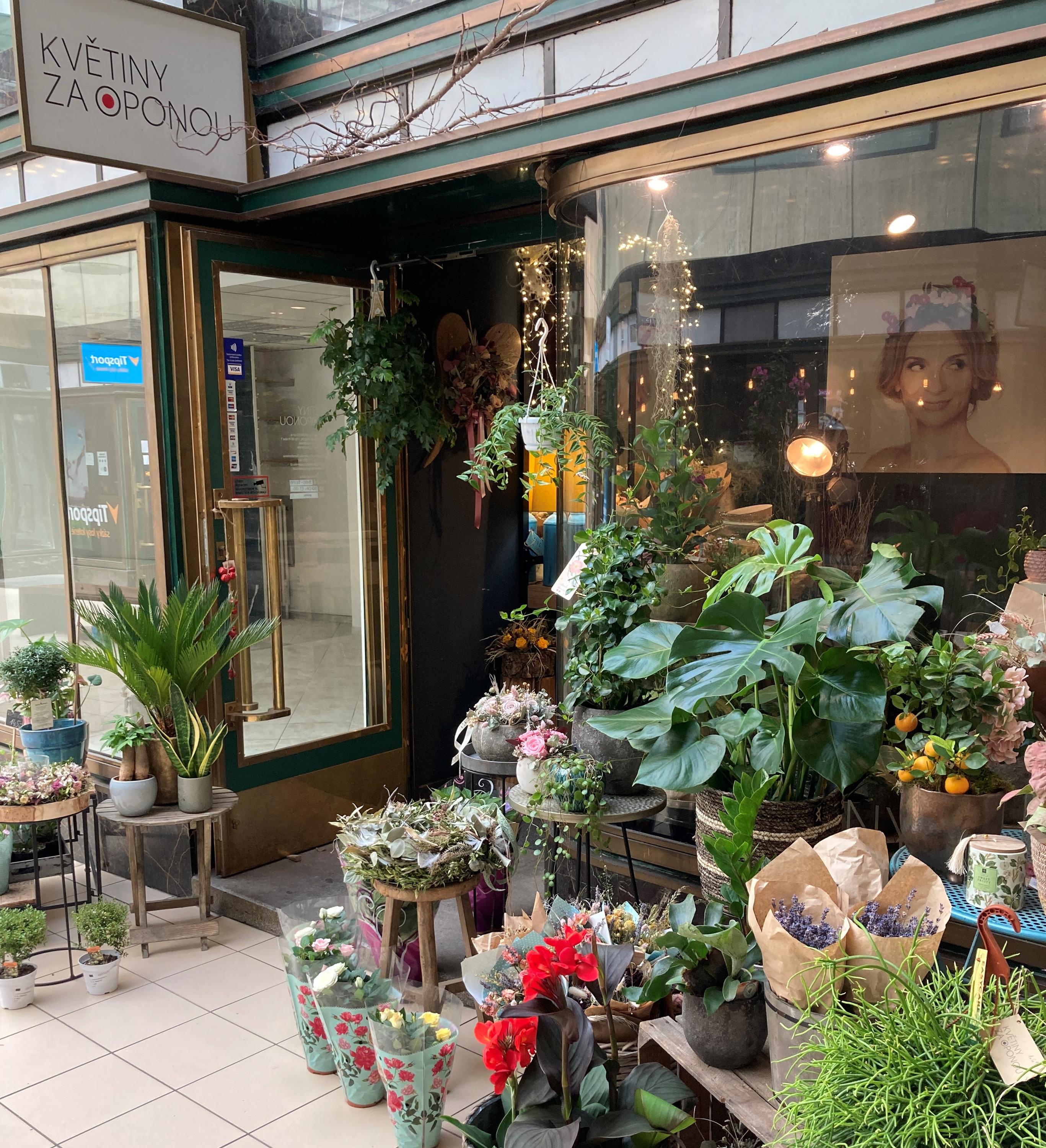 Květiny Za oponou foto 3