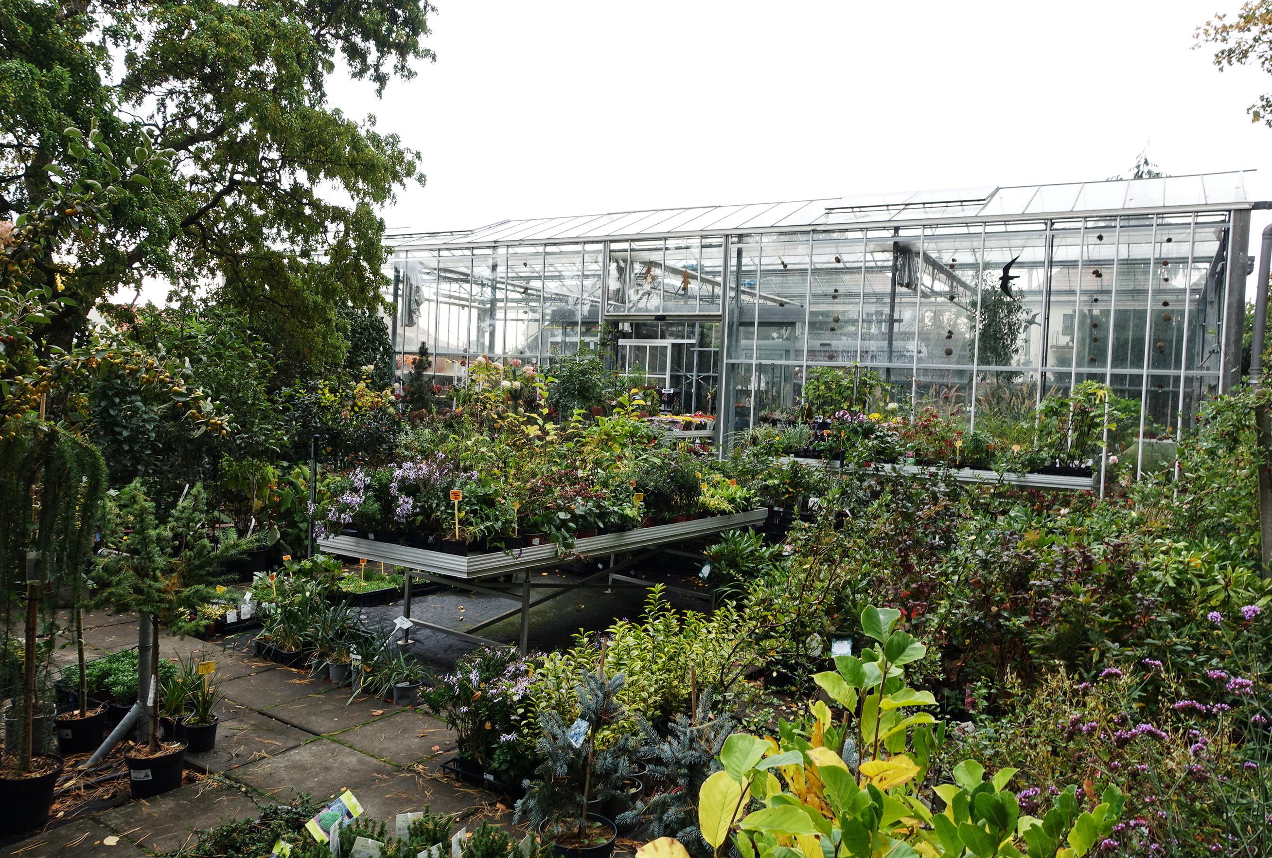 Zahradní centrum - Ing. Ladislav Molnár