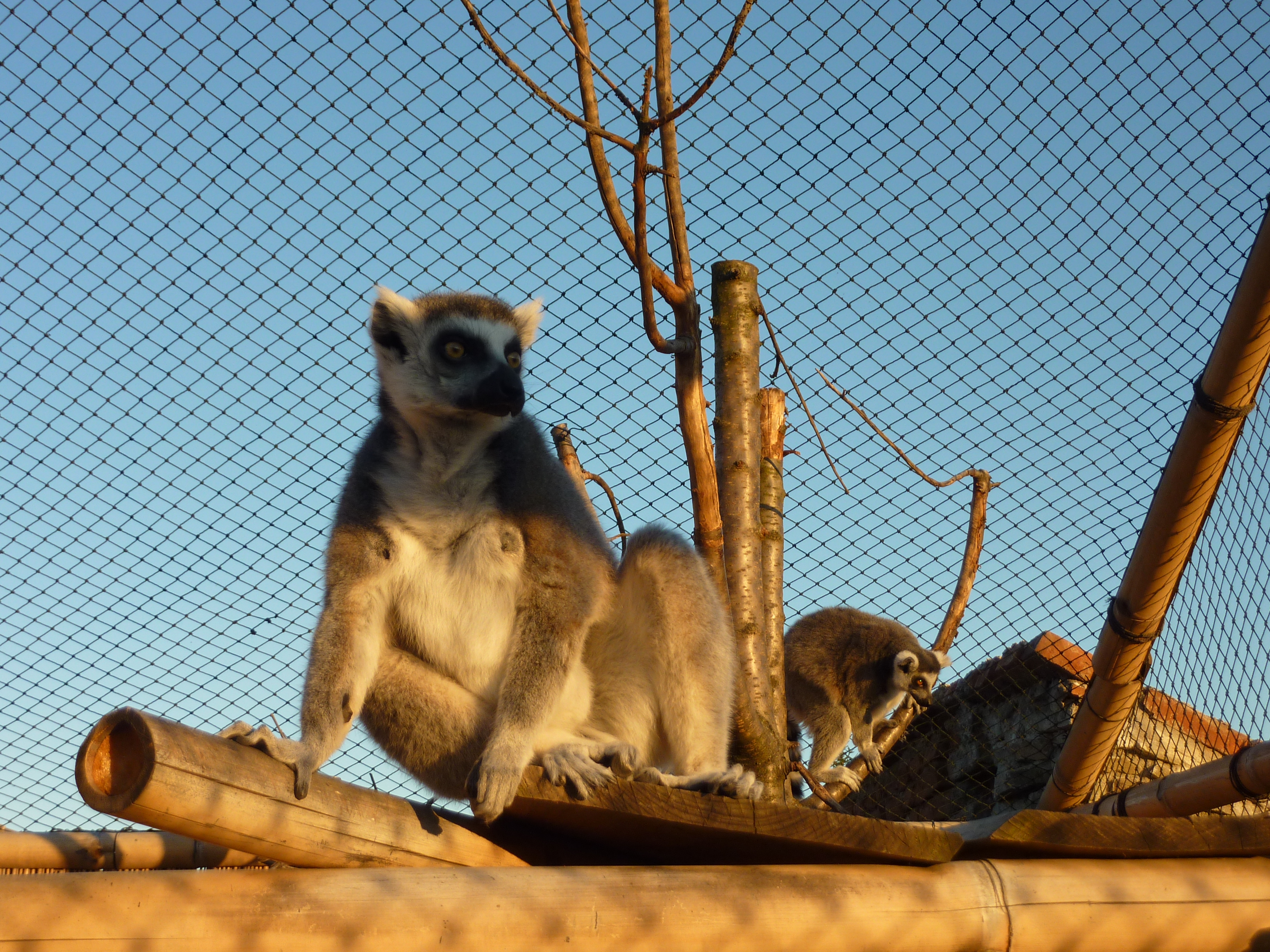 ZOO PARK Vyškov foto 5