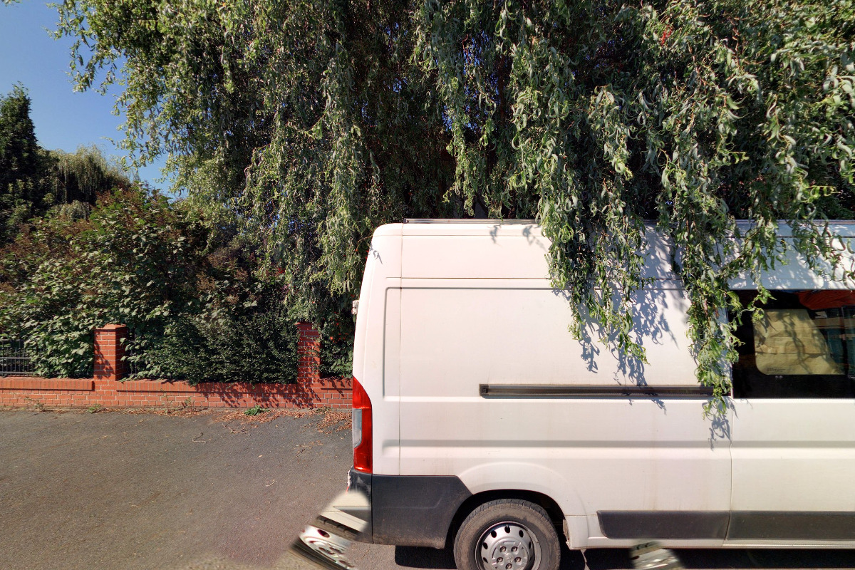 Tělovýchovná jednota Medvědi Plzeň