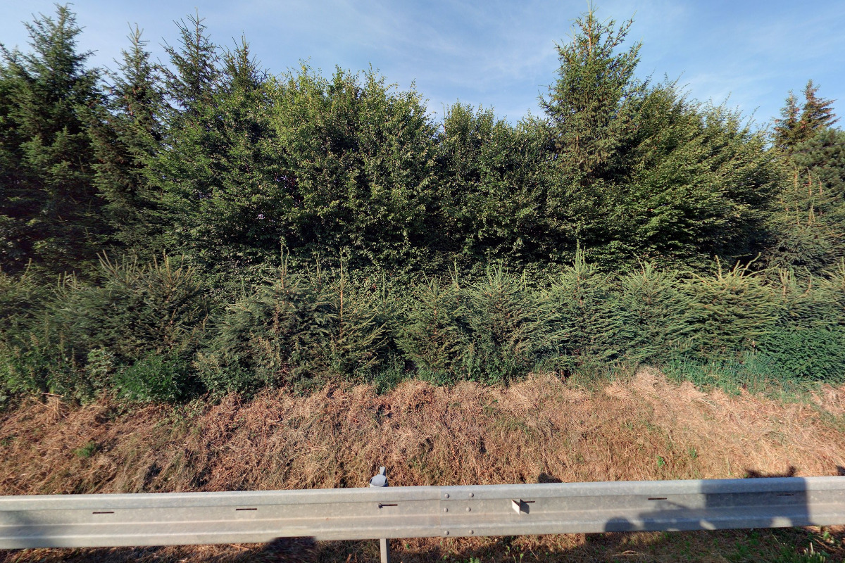 Petr Novotný - zemní a výkopové práce