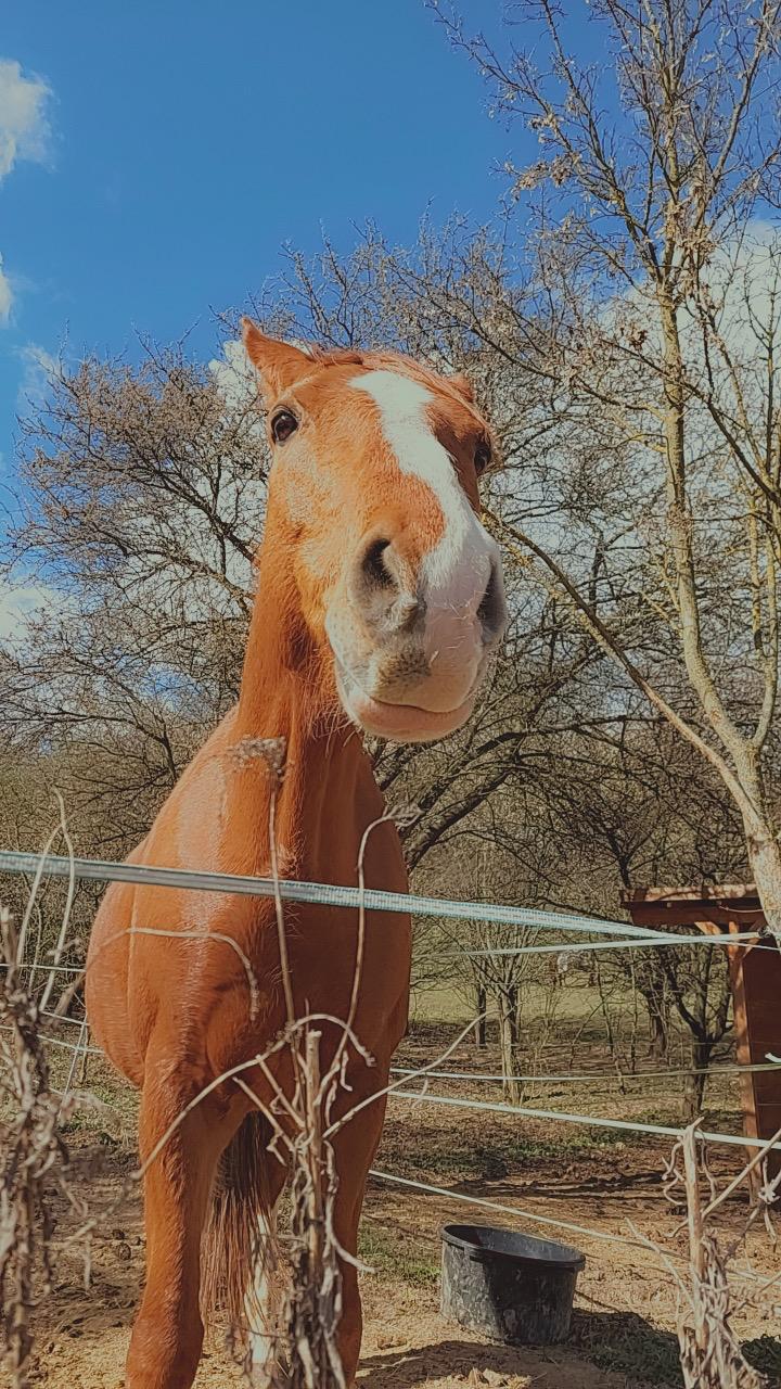 M&S ranch foto 5