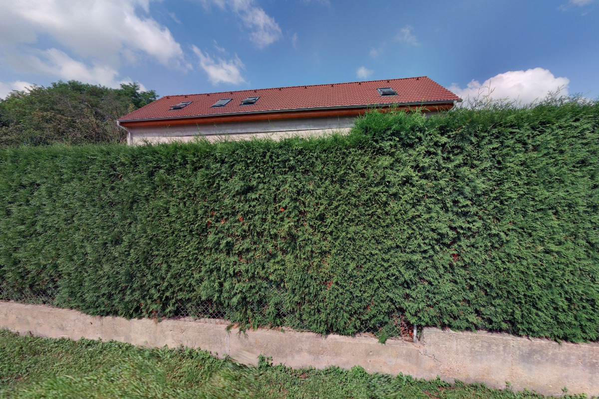 Markéta Mikudimová