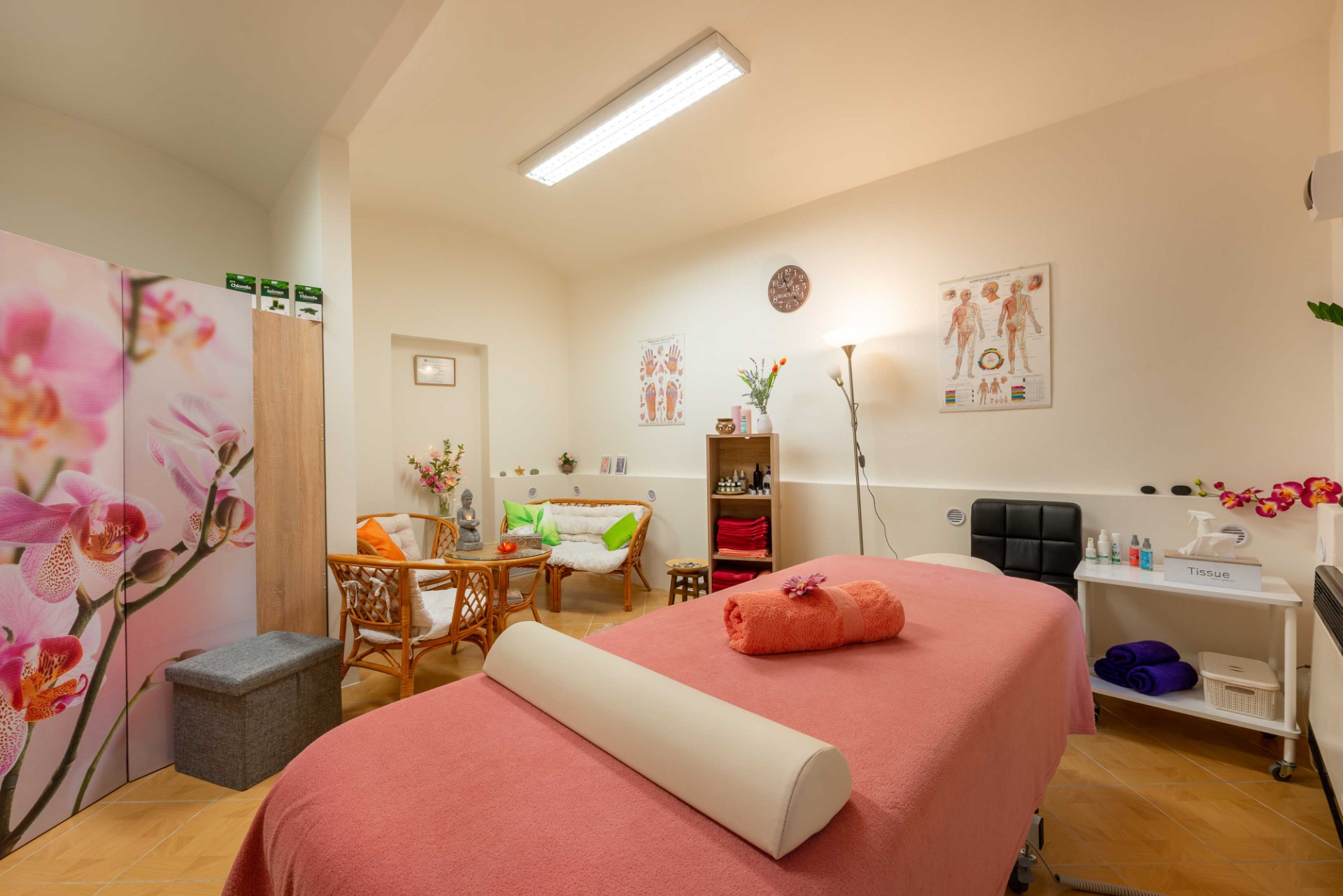 Masérské a regenerační studio Jaro