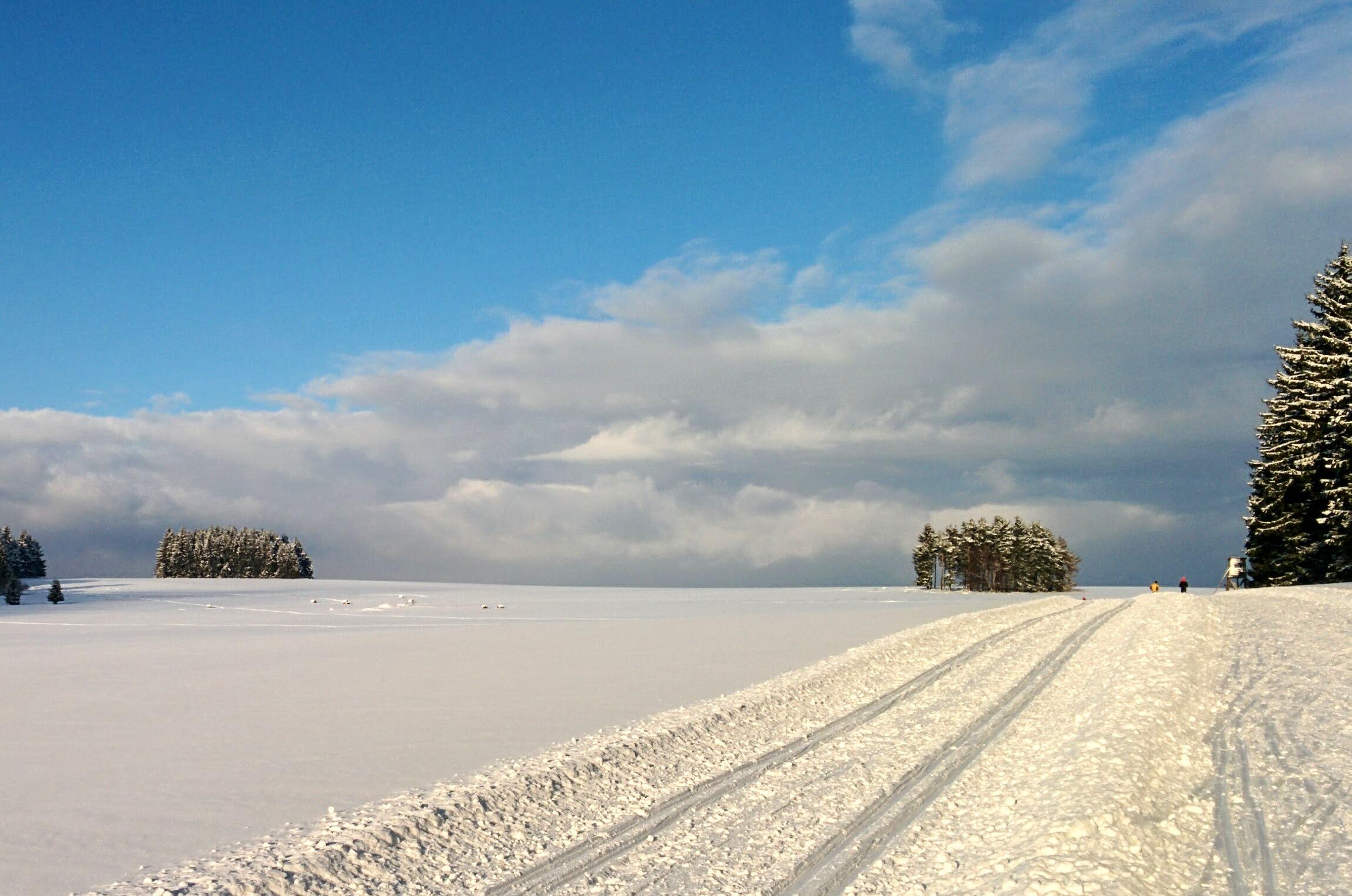Ski Nordic Mariánské Lázně