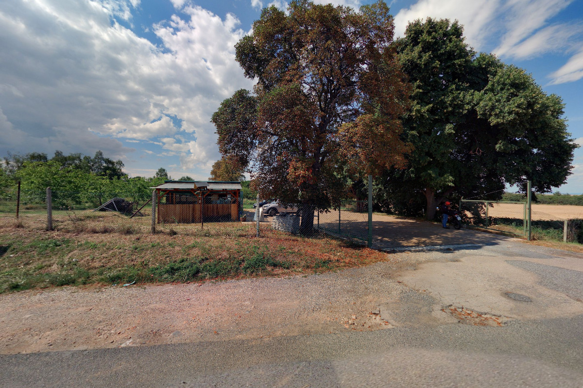 Hana Muchová - ovocnářství a vinařství foto 6