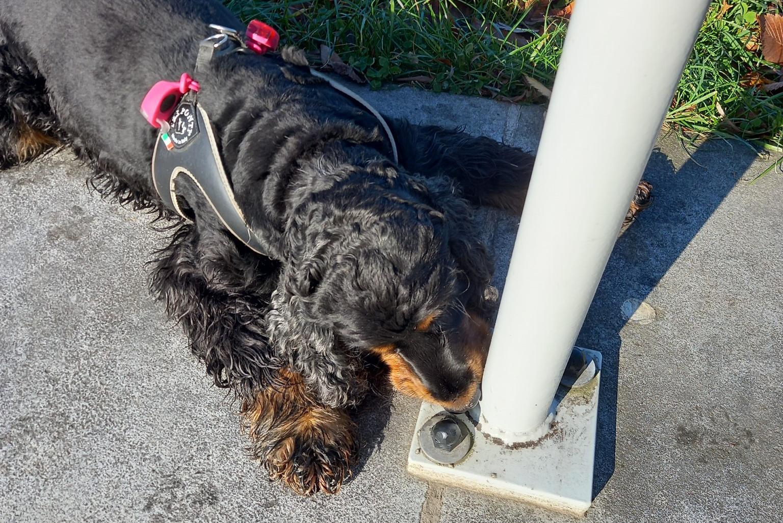 Czechnosework K+R+P z.s.