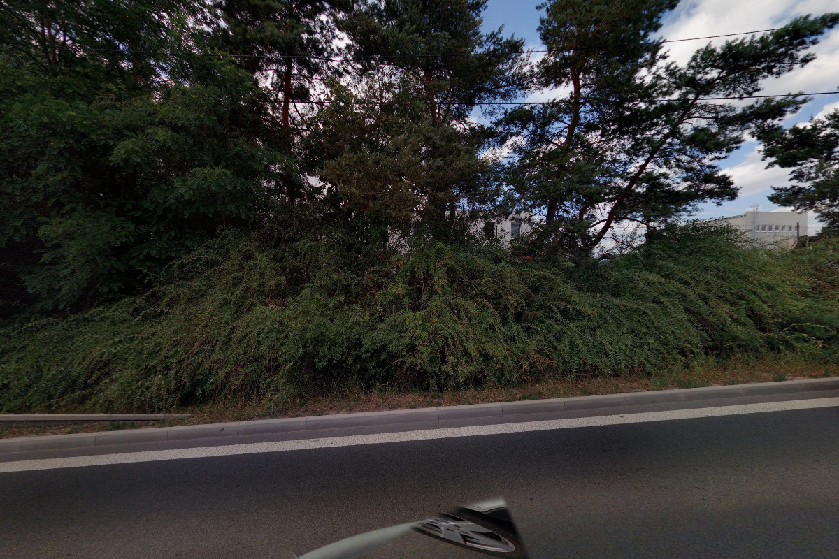 Ing. Dagmar Kučerová