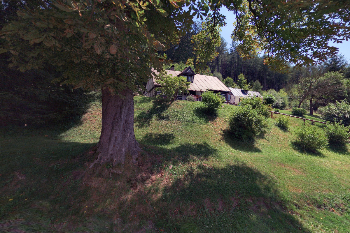 English Summer Camp foto 5