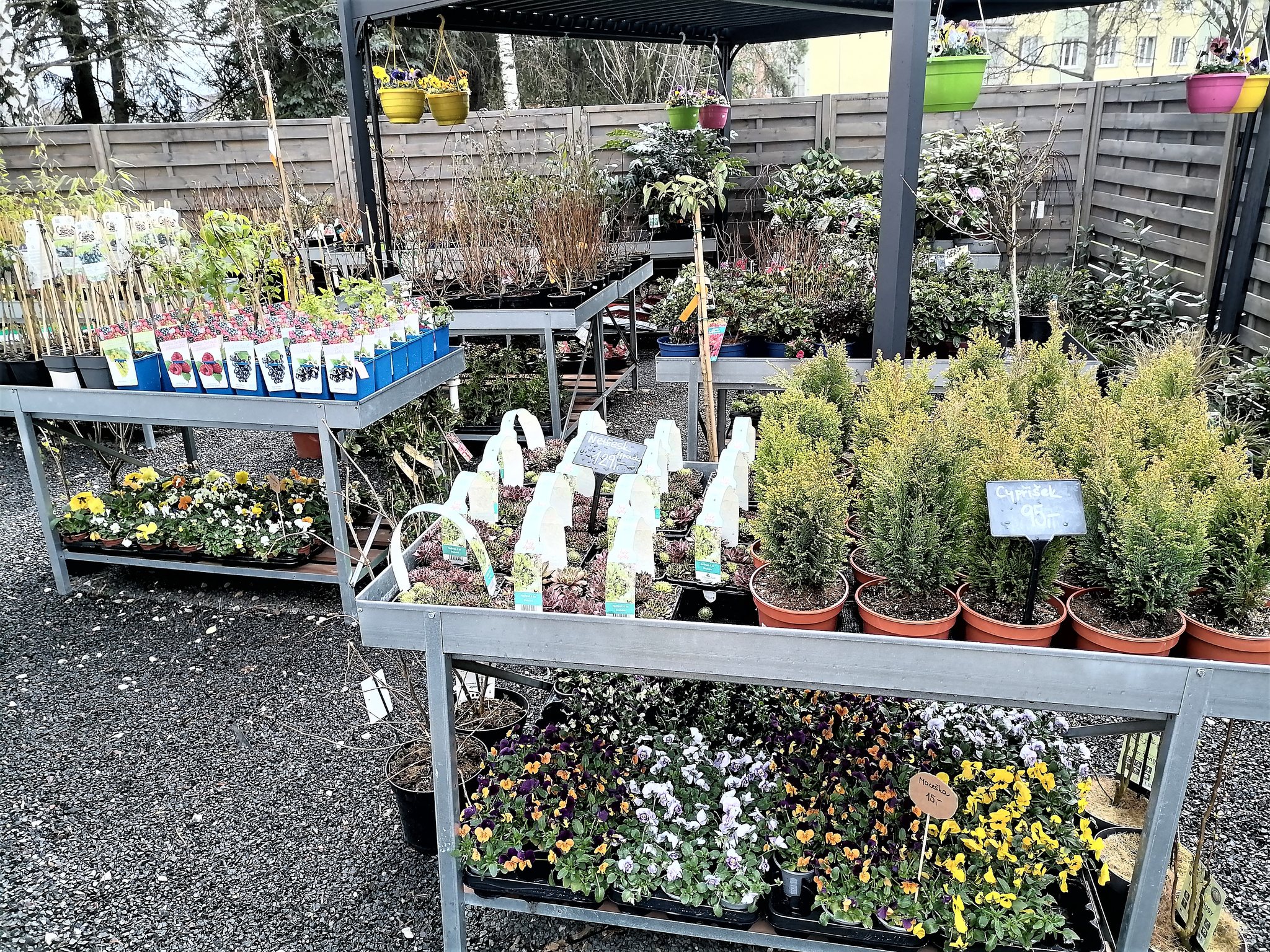 Zahradnické centrum Letokruh foto 4