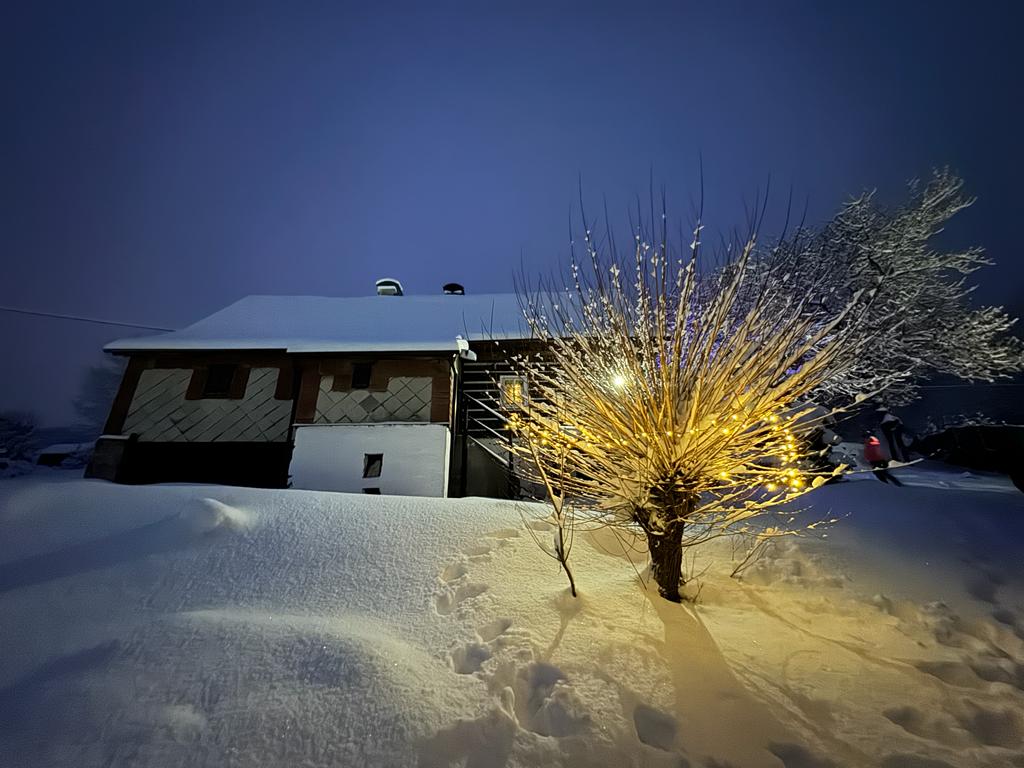 Roubenka Hnědá foto 3