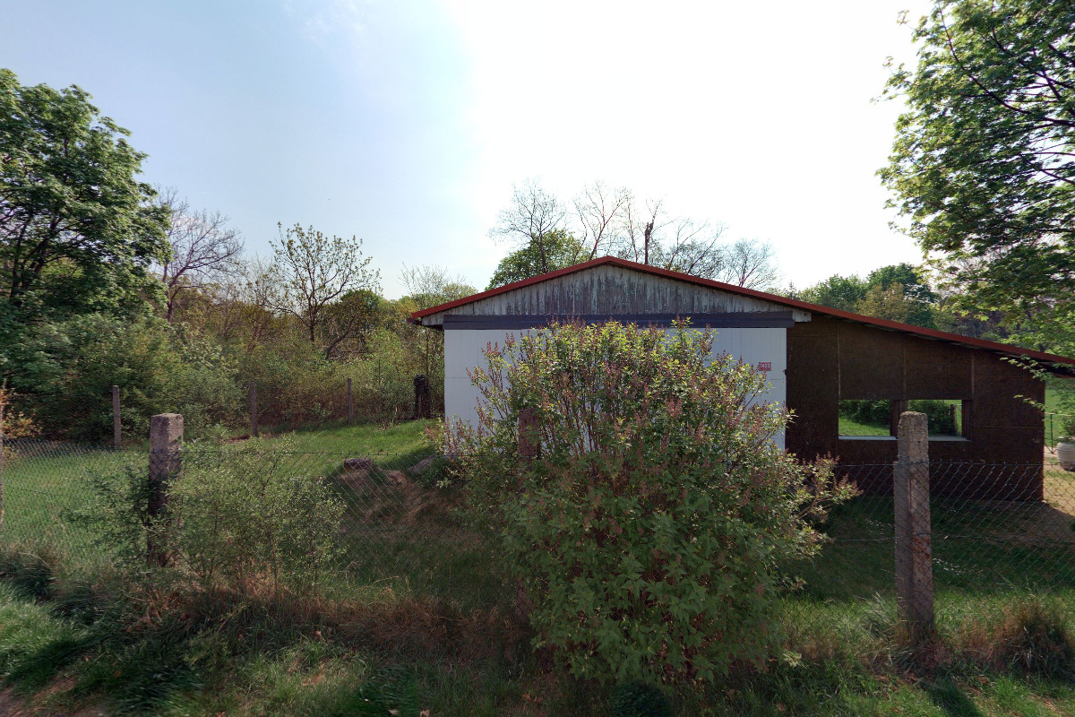 Český kynologický svaz ZKO Ml. Boleslav - 403