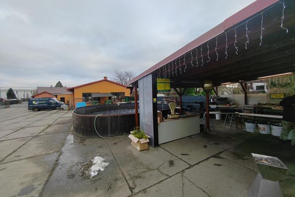 Prodej Kapru Ostrava Hrabova