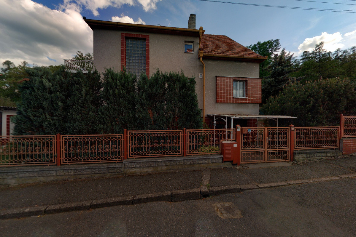 Siberian husky Grand Forjana team foto 2