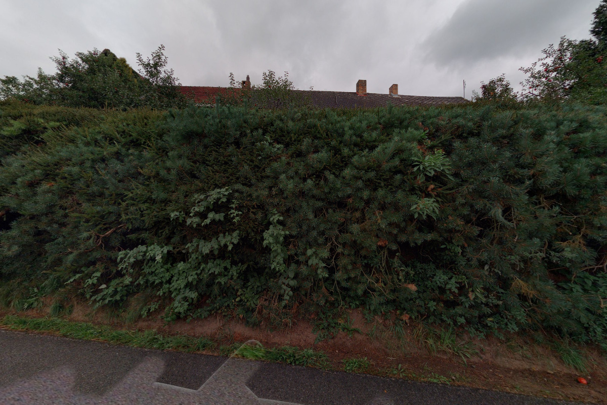 Ing. Lucie Hronková