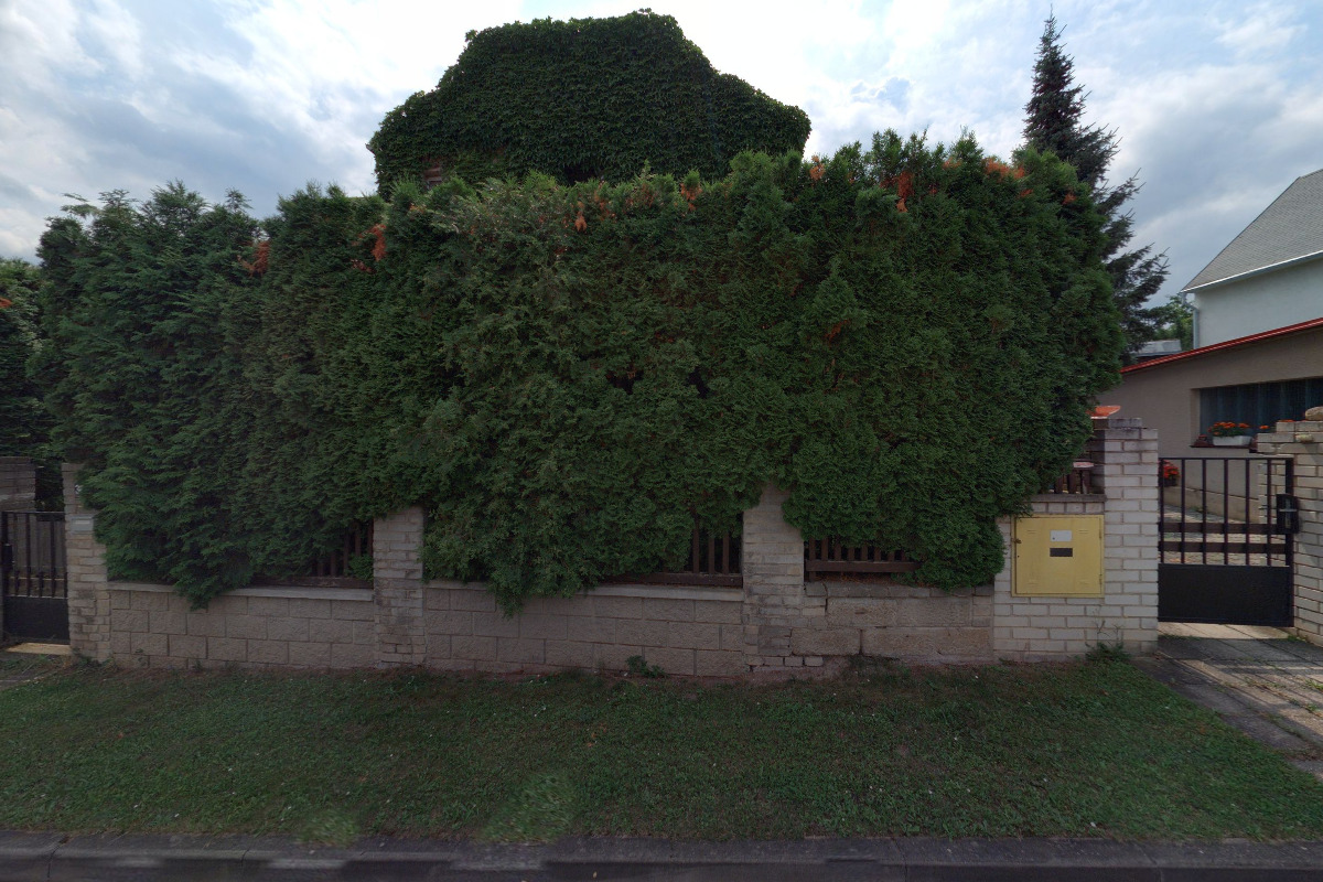 Skupina historického šermu Skeleton foto 1