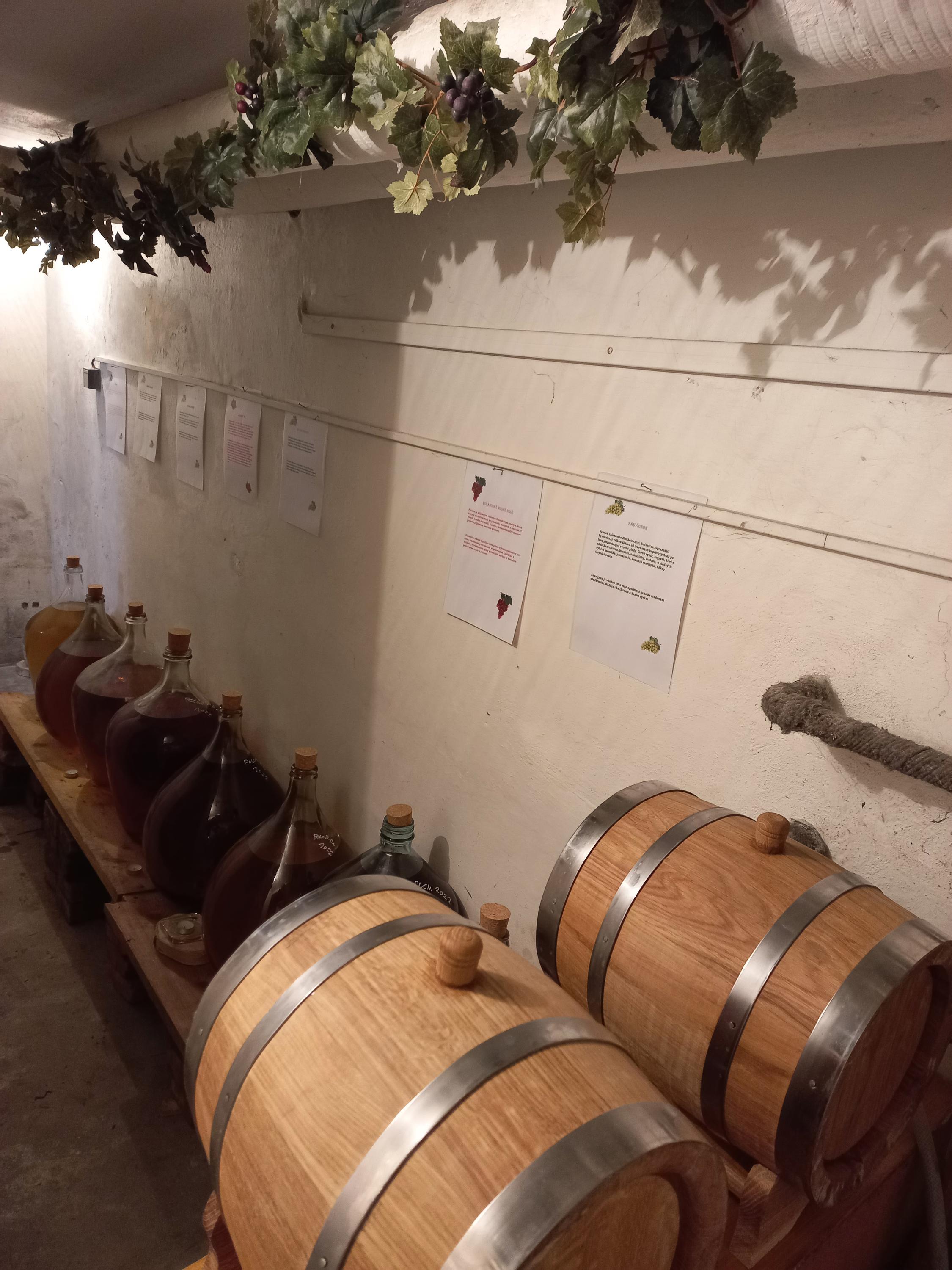 Vinařství Sajdl foto 3