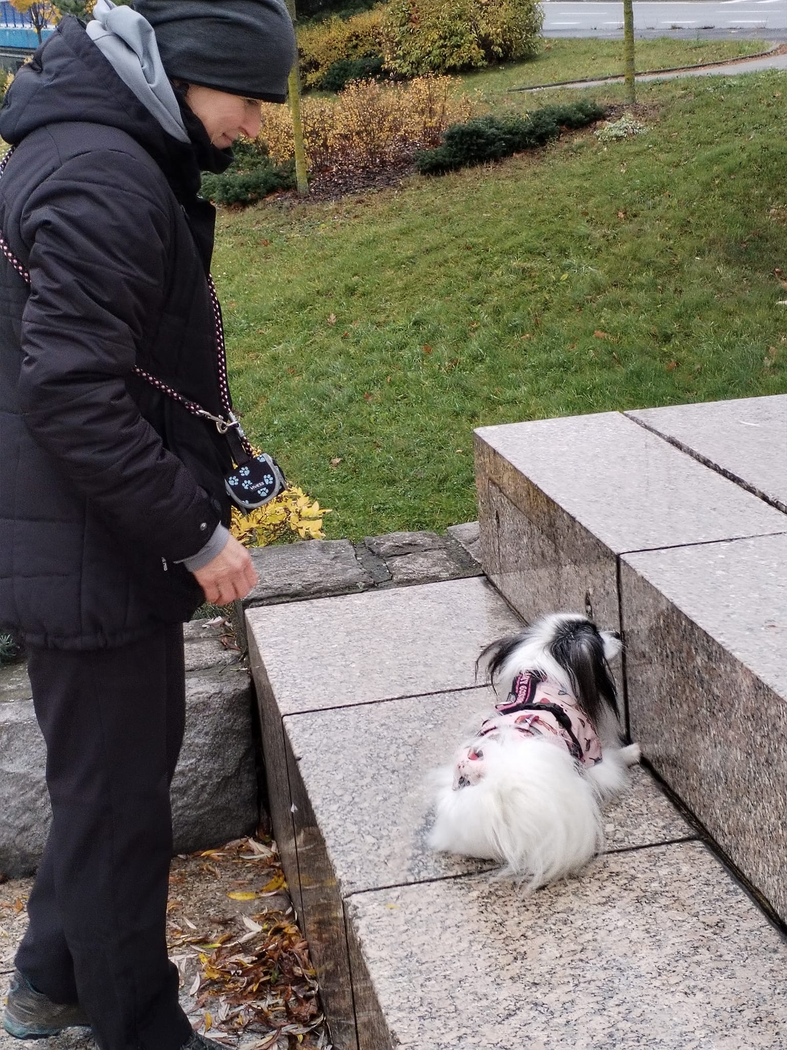 Czechnosework K+R+P z.s. foto 3