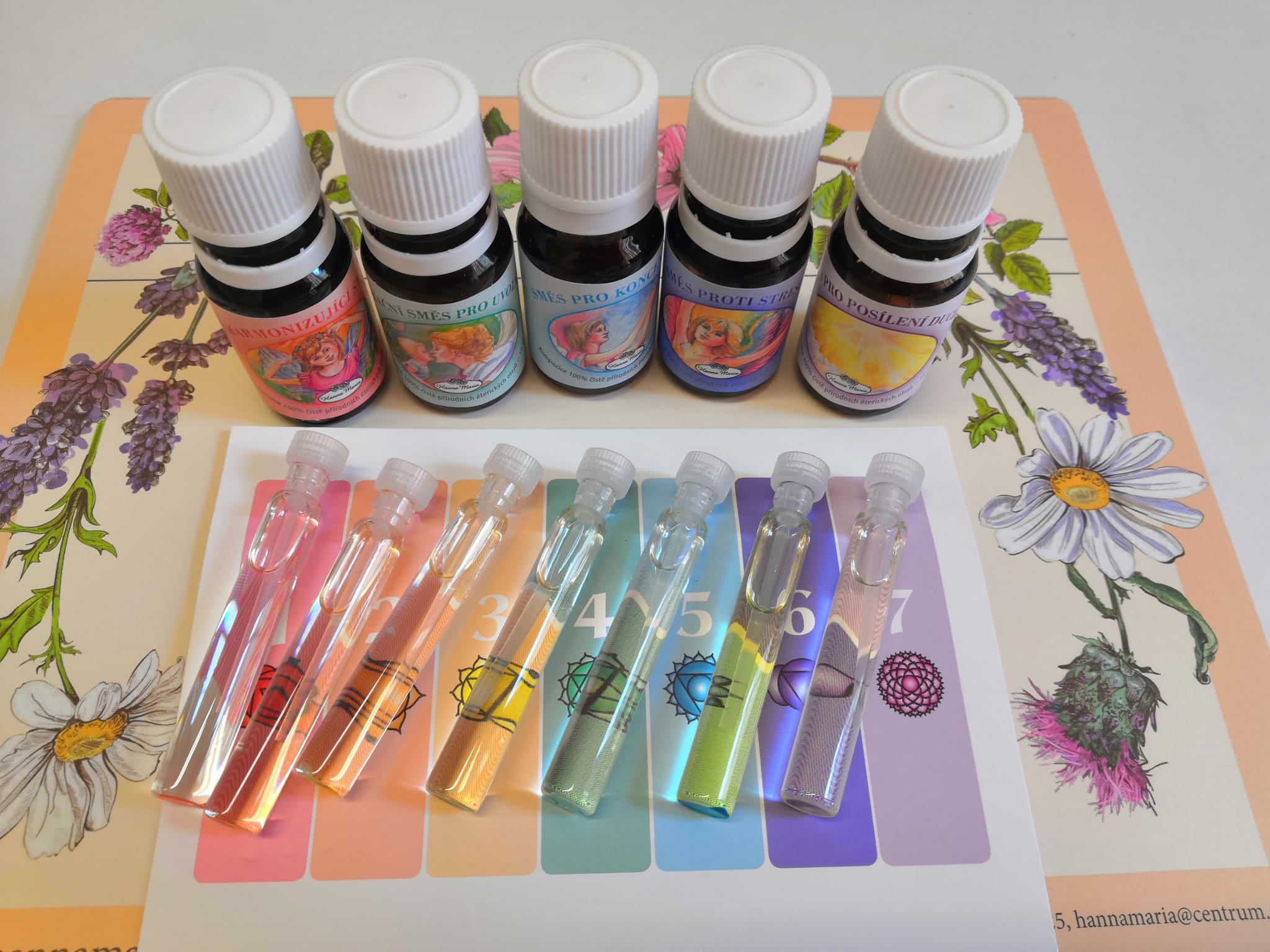 Radka Čermáková - UZDRAV MYSL foto 2