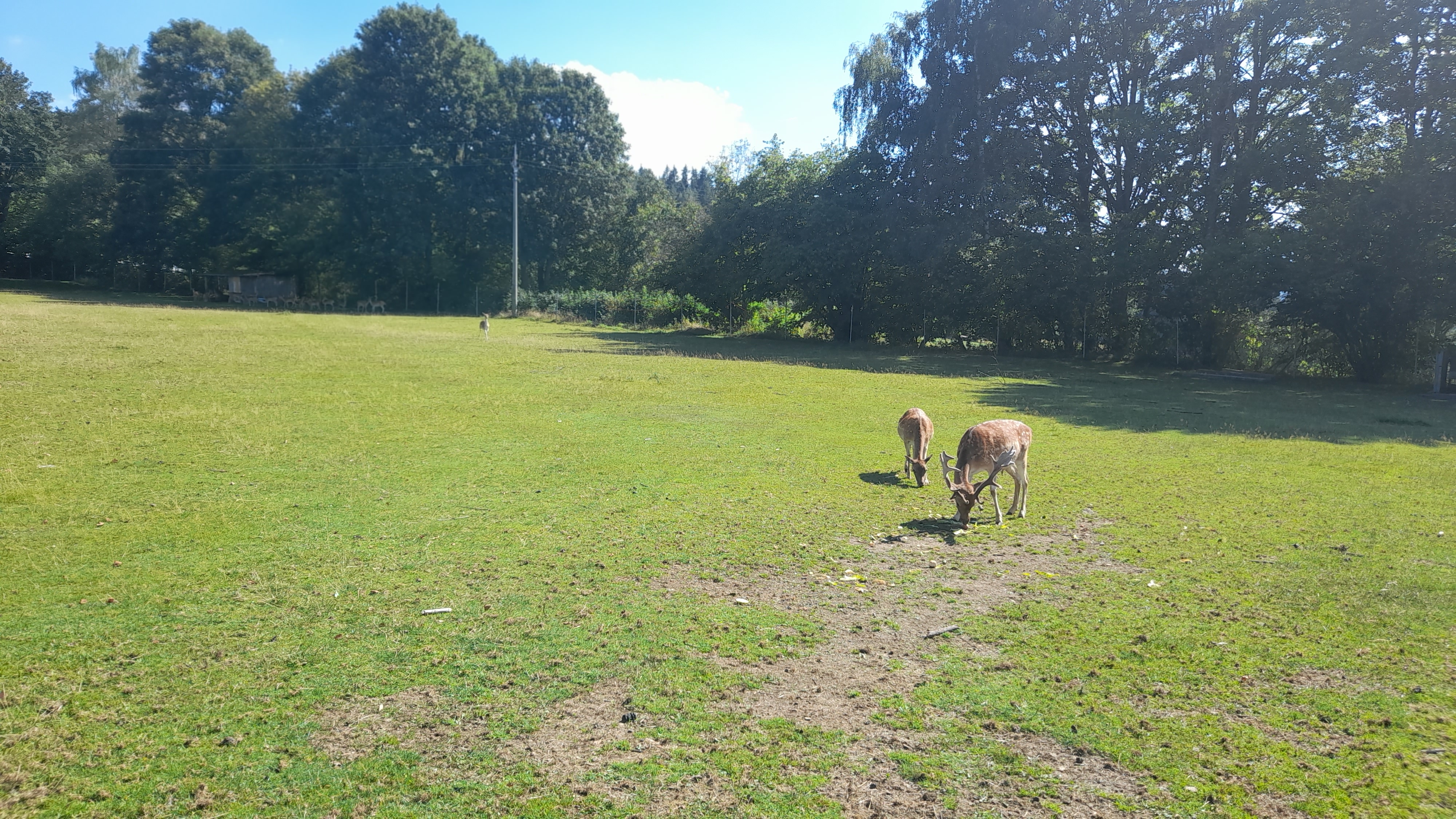 Ubytování Červená 3 foto 4